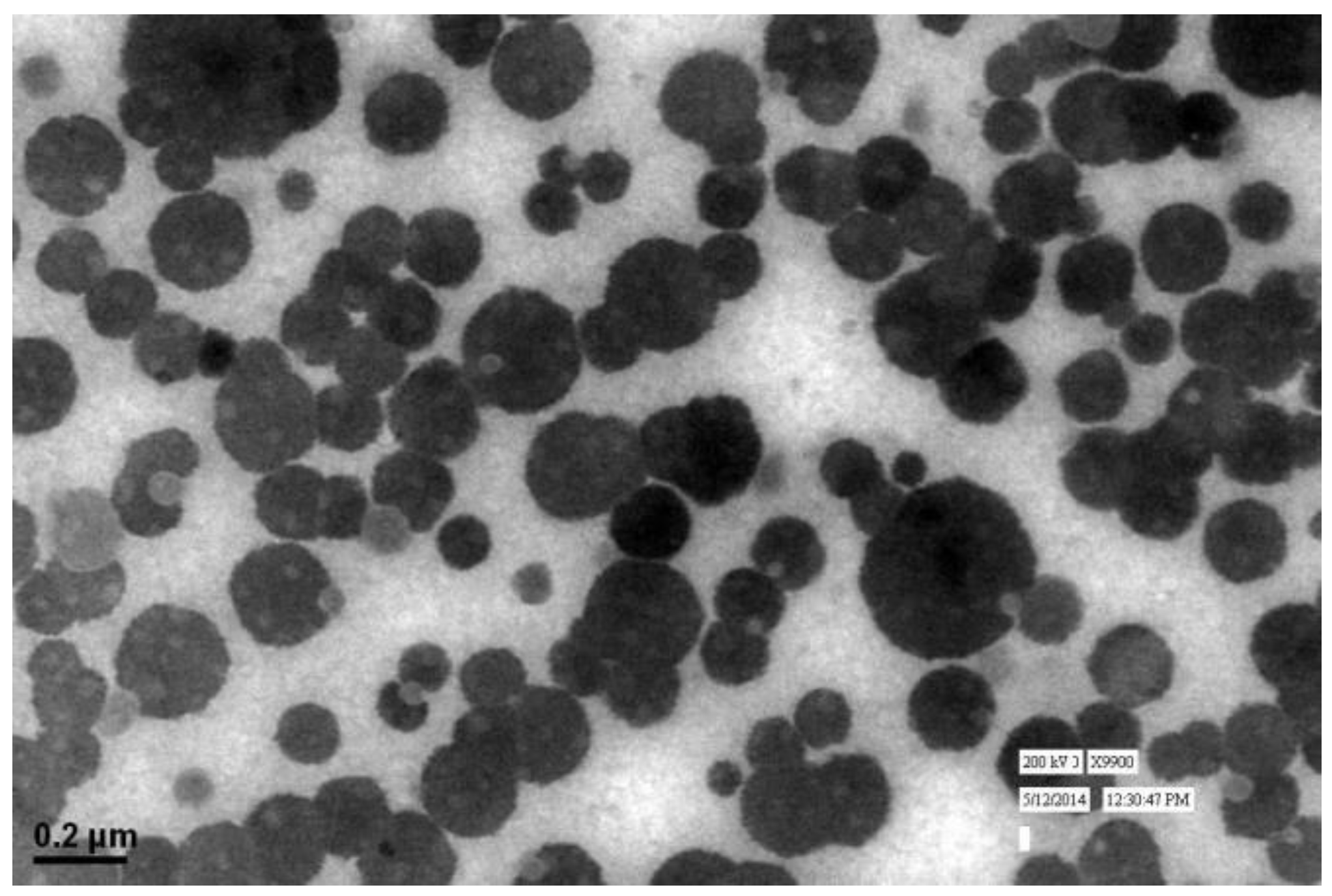 Pharmaceutics 10 00033 g004