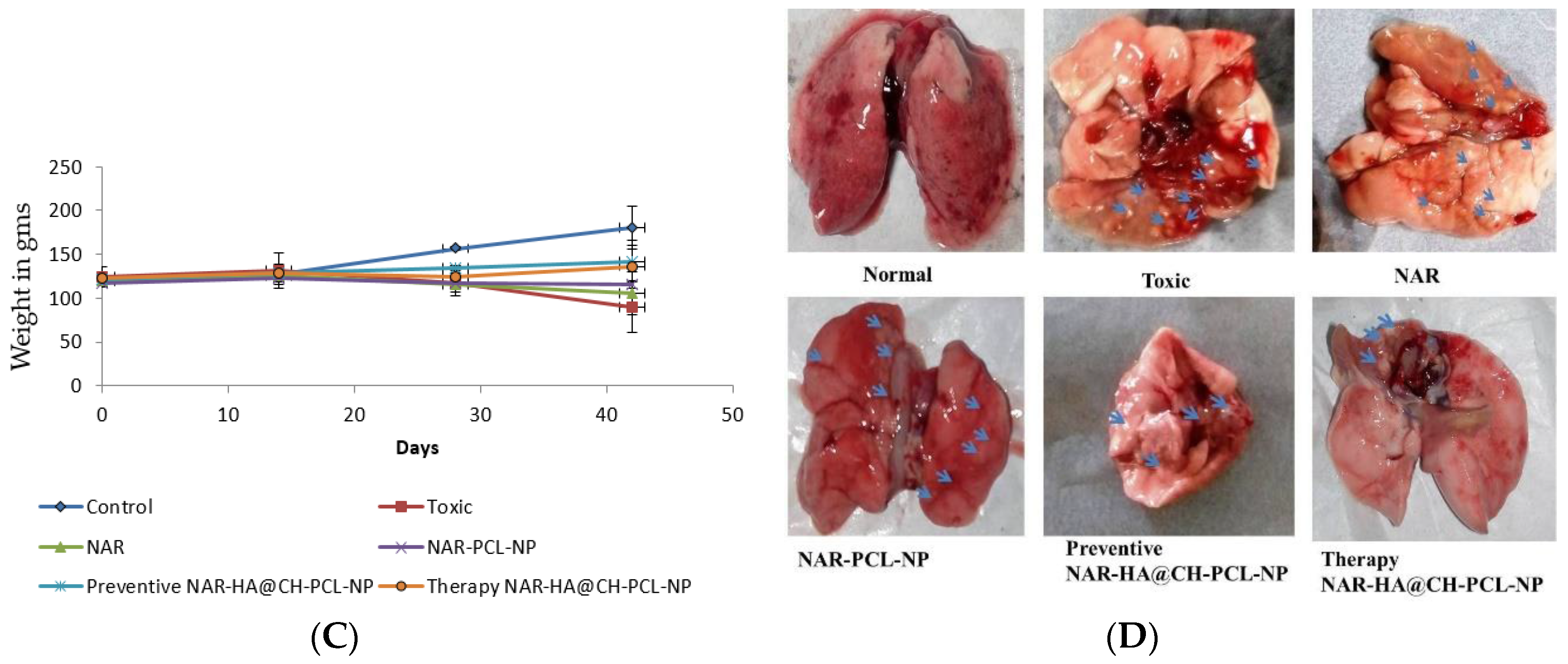 Pharmaceutics 10 00033 g008b
