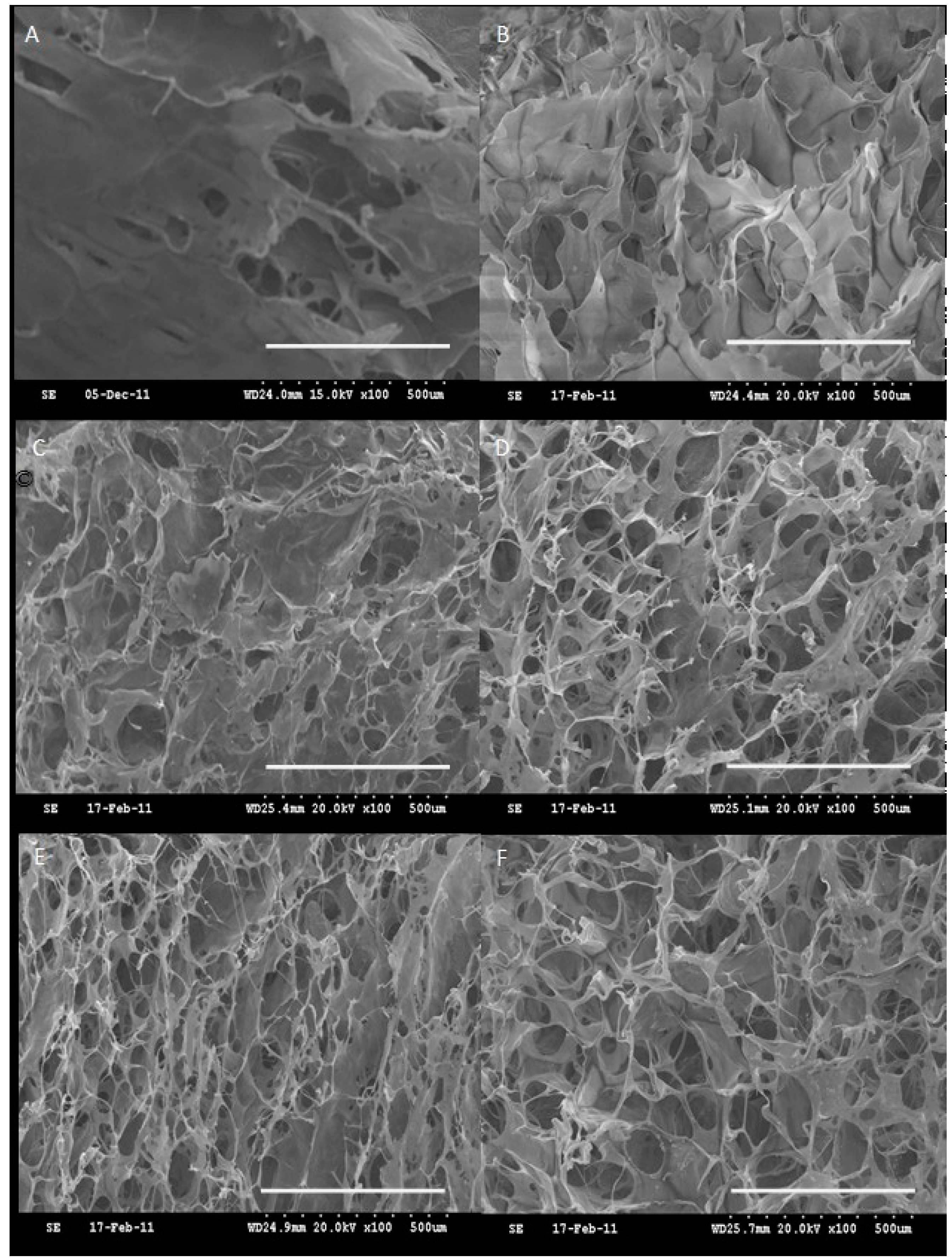 Pharmaceutics 10 00037 g002