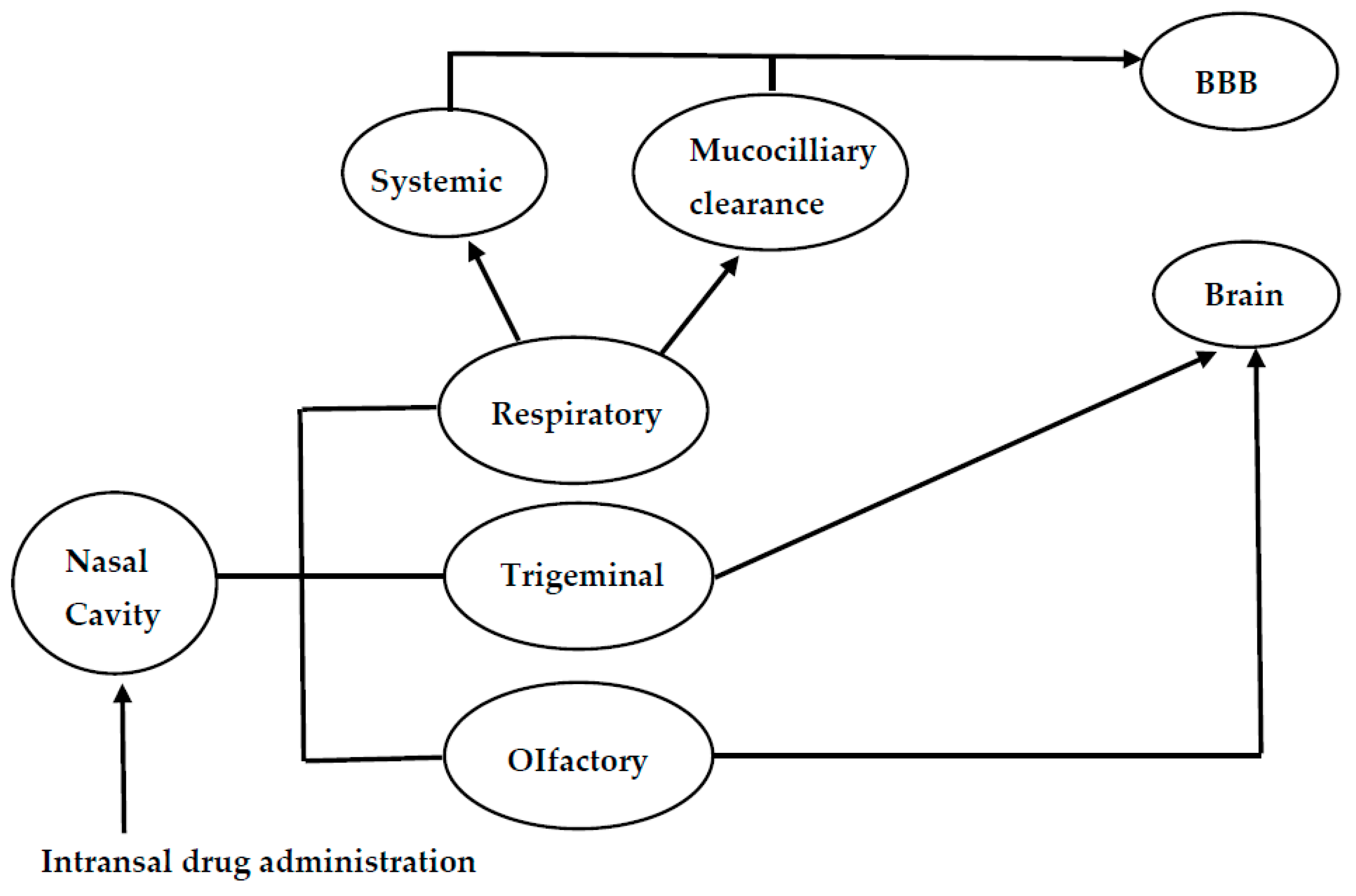 Pharmaceutics 10 00040 g001 Pharmaceutics 10 00040 g001