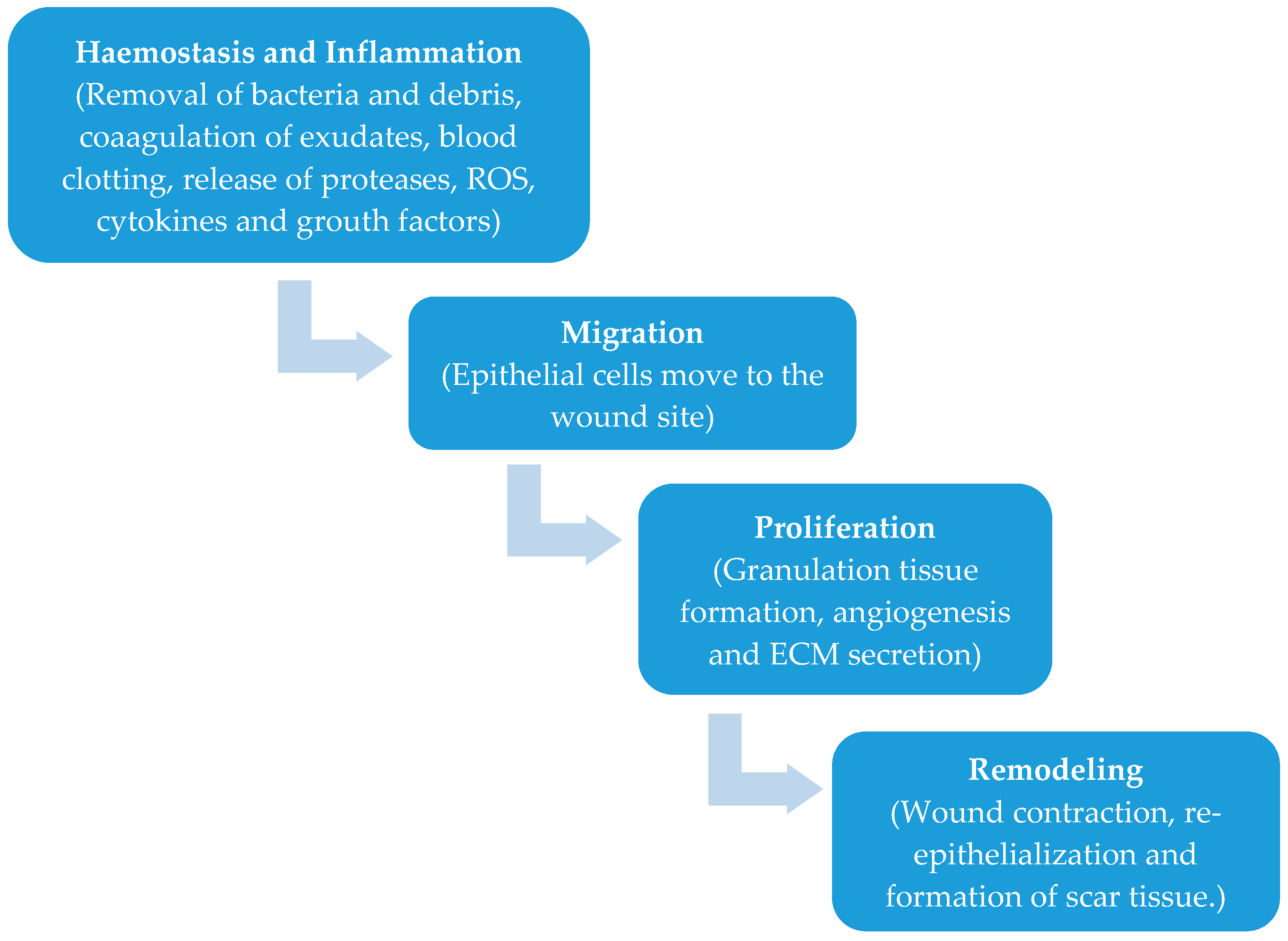 Pharmaceutics 10 00042 g001
