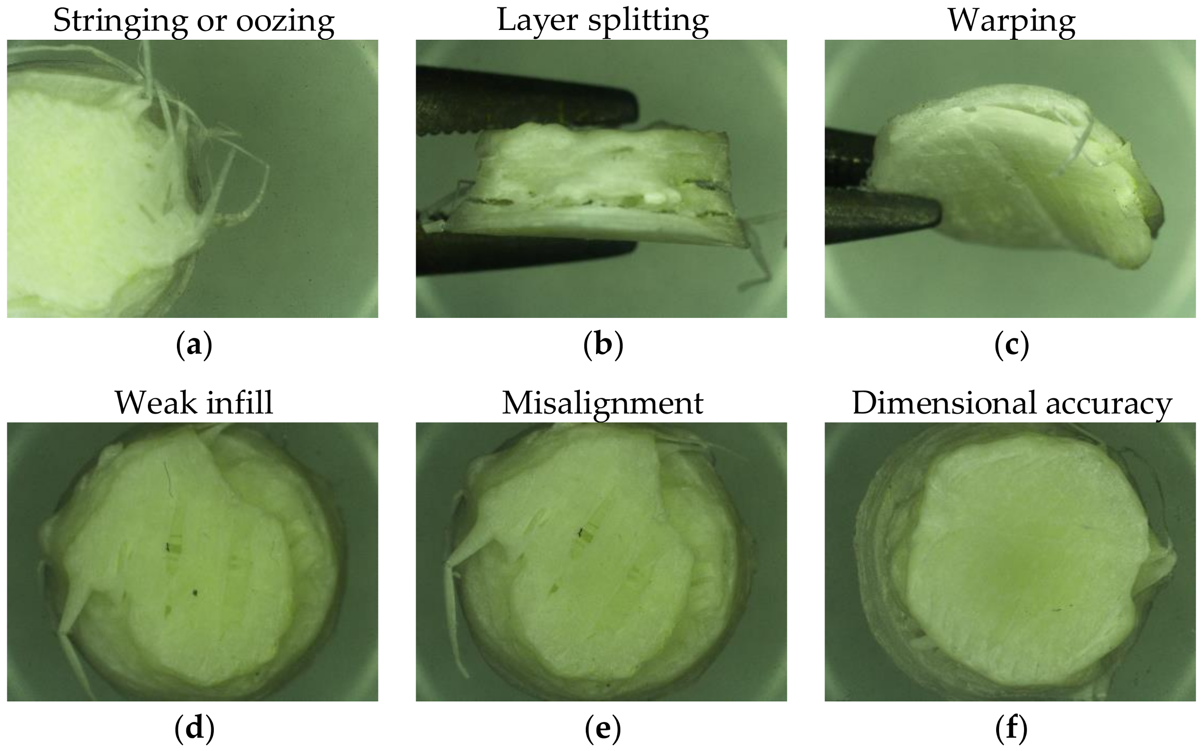 Pharmaceutics 10 00044 g010