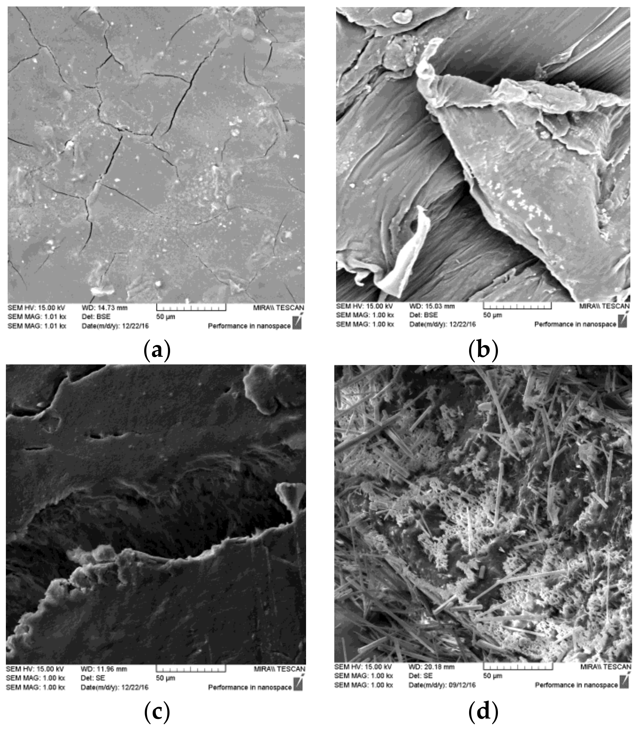 Pharmaceutics 10 00044 g011