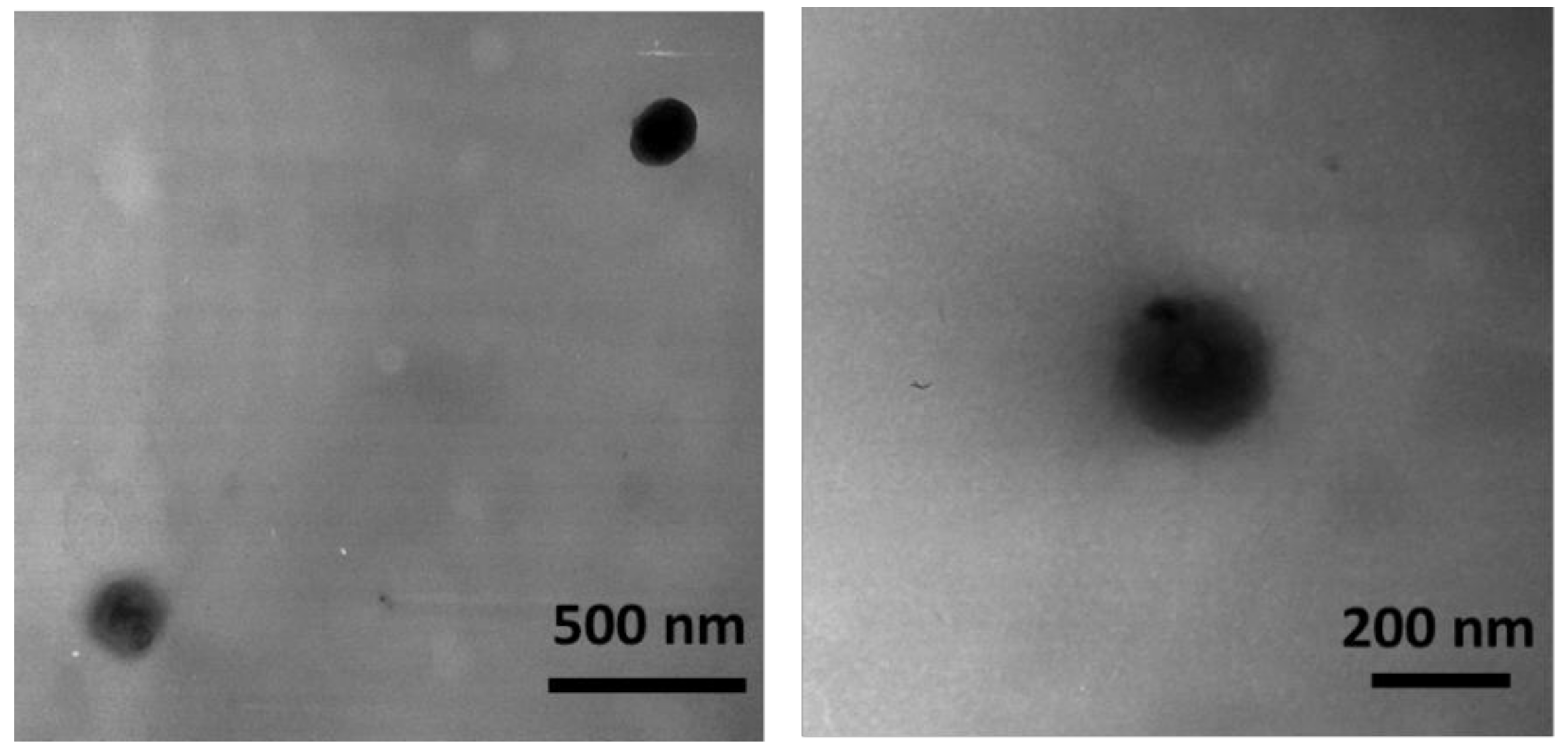 Pharmaceutics 10 00046 g001