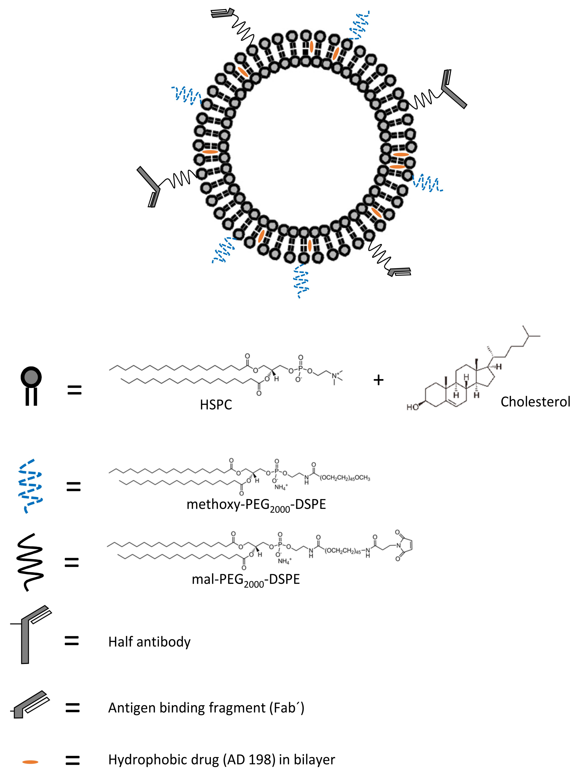 Pharmaceutics 10 00050 g001