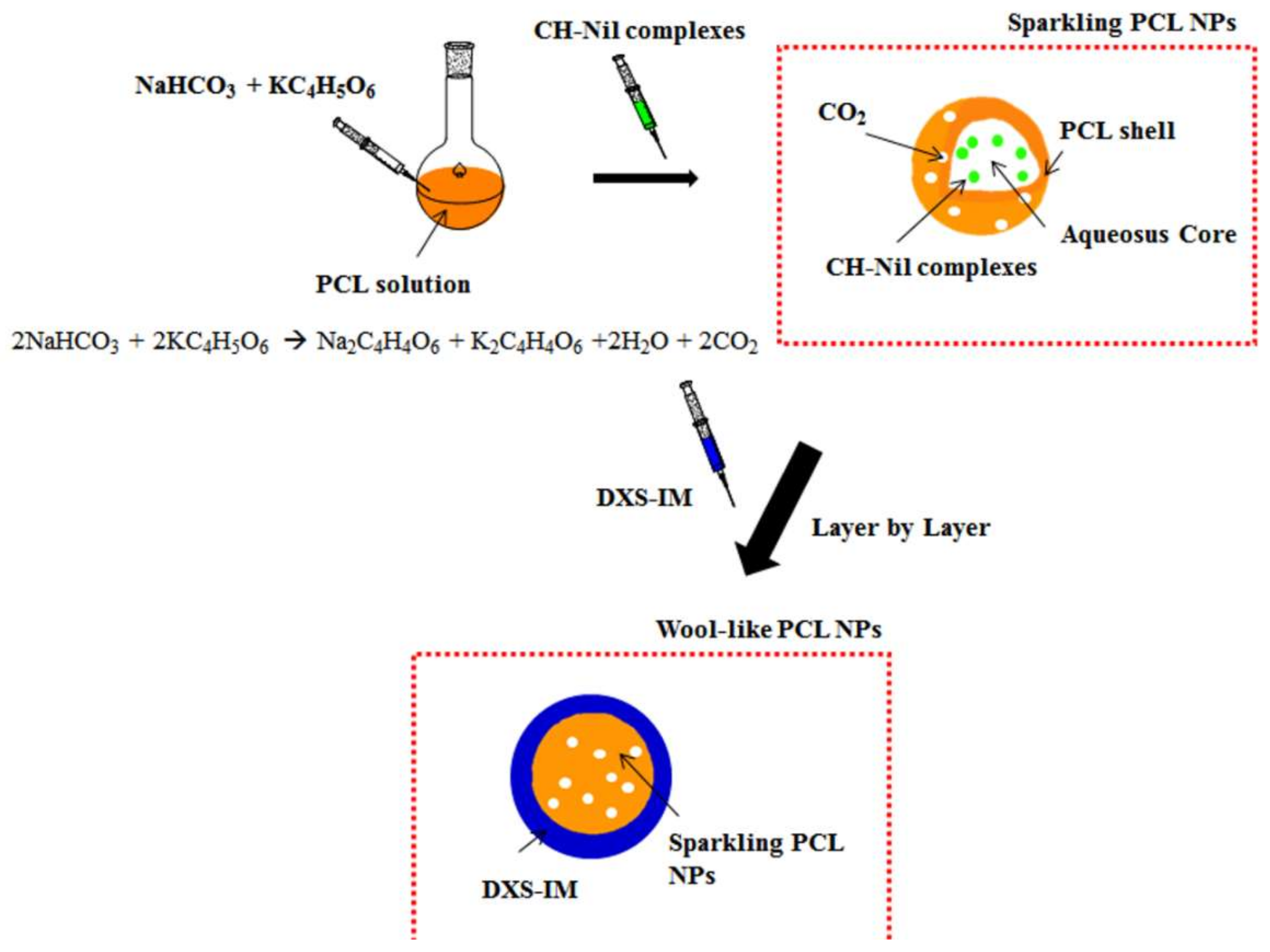 Pharmaceutics 10 00052 sch001