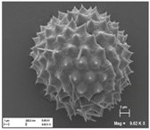 Pharmaceutics 10 00056 i001