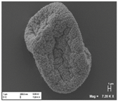 Pharmaceutics 10 00056 i007