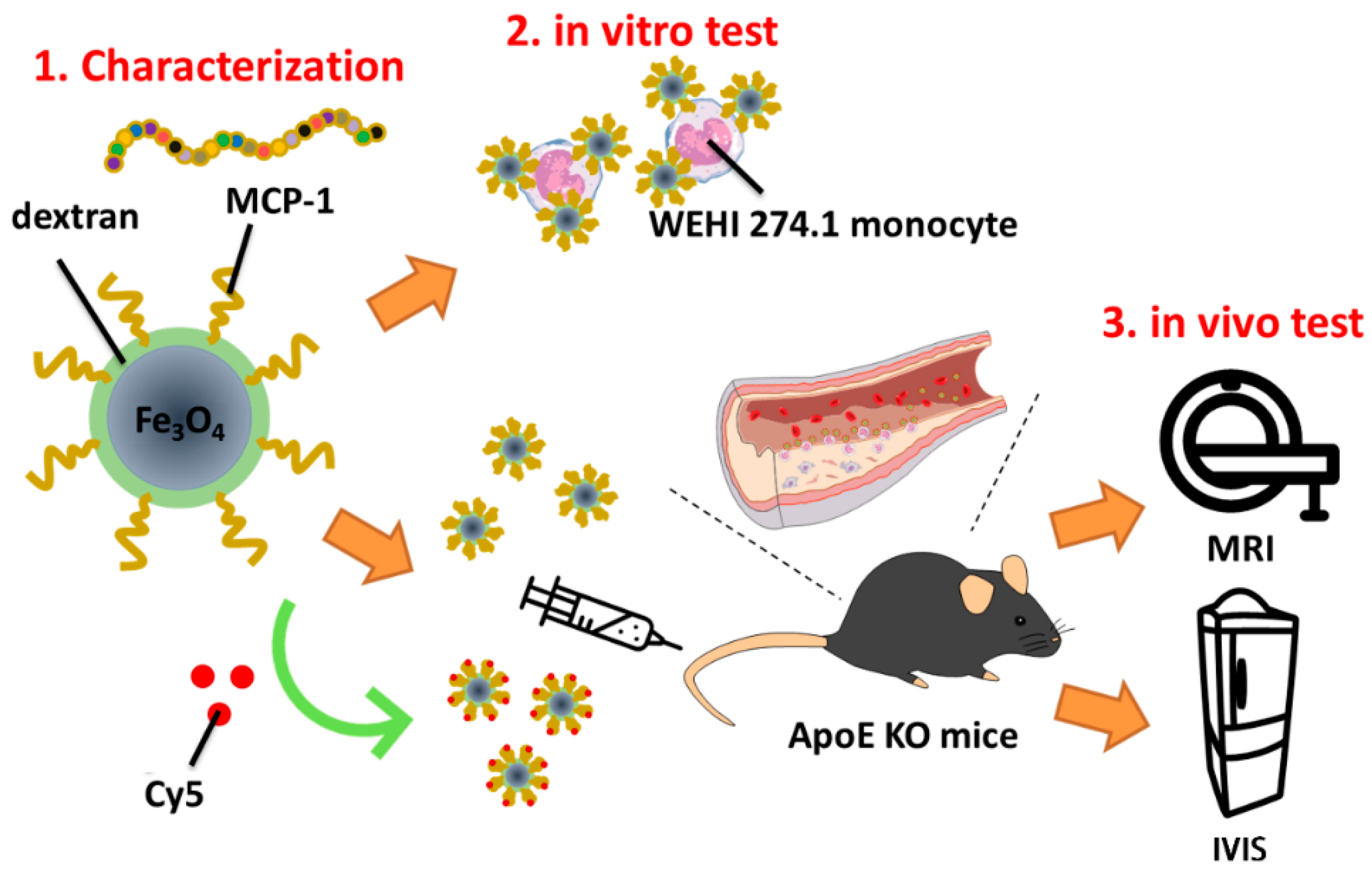 Pharmaceutics 10 00062 g001
