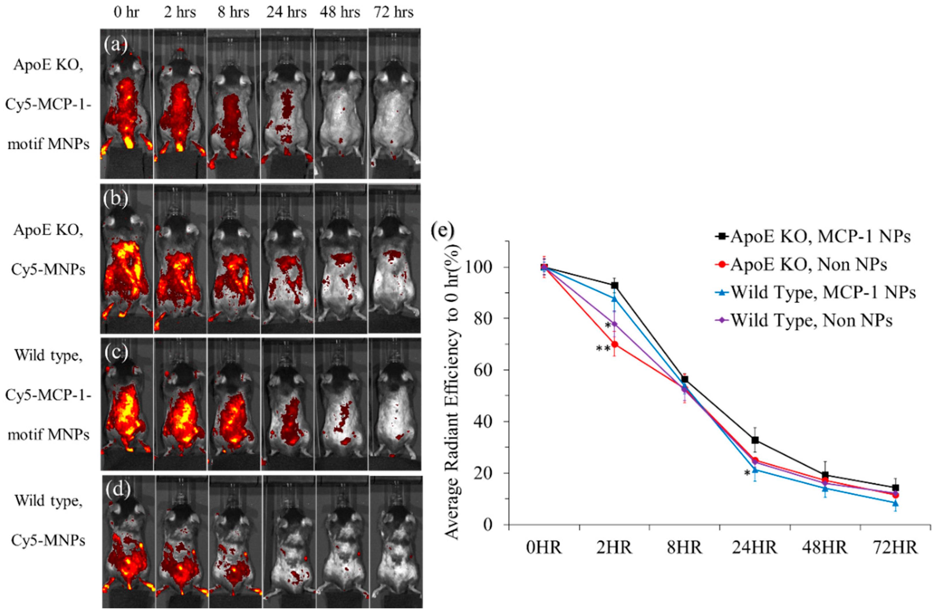 Pharmaceutics 10 00062 g008