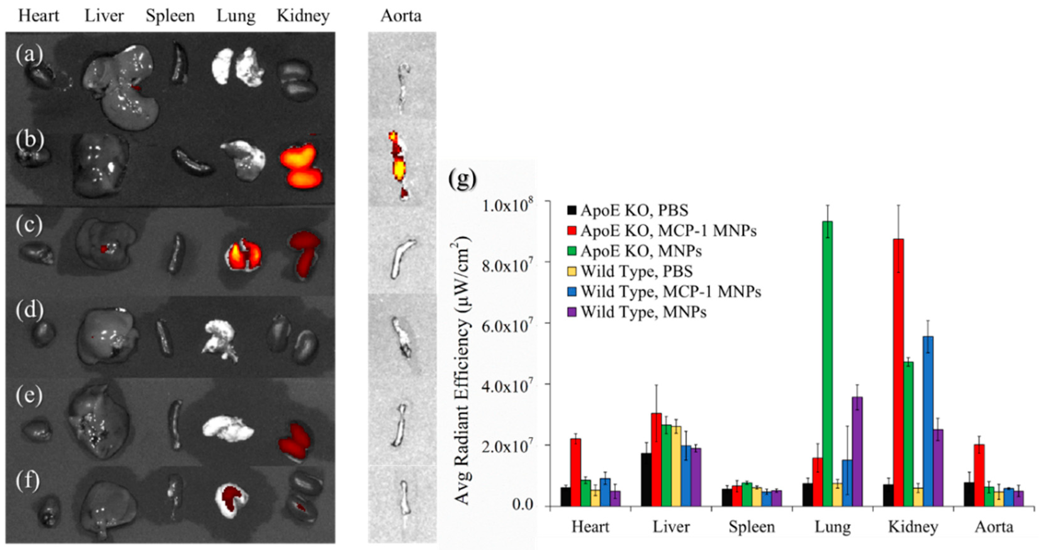 Pharmaceutics 10 00062 g009
