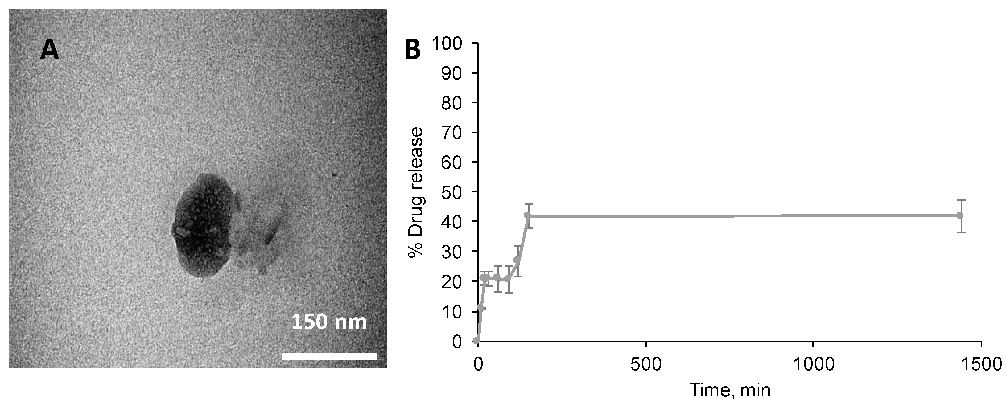 Pharmaceutics 10 00063 g004
