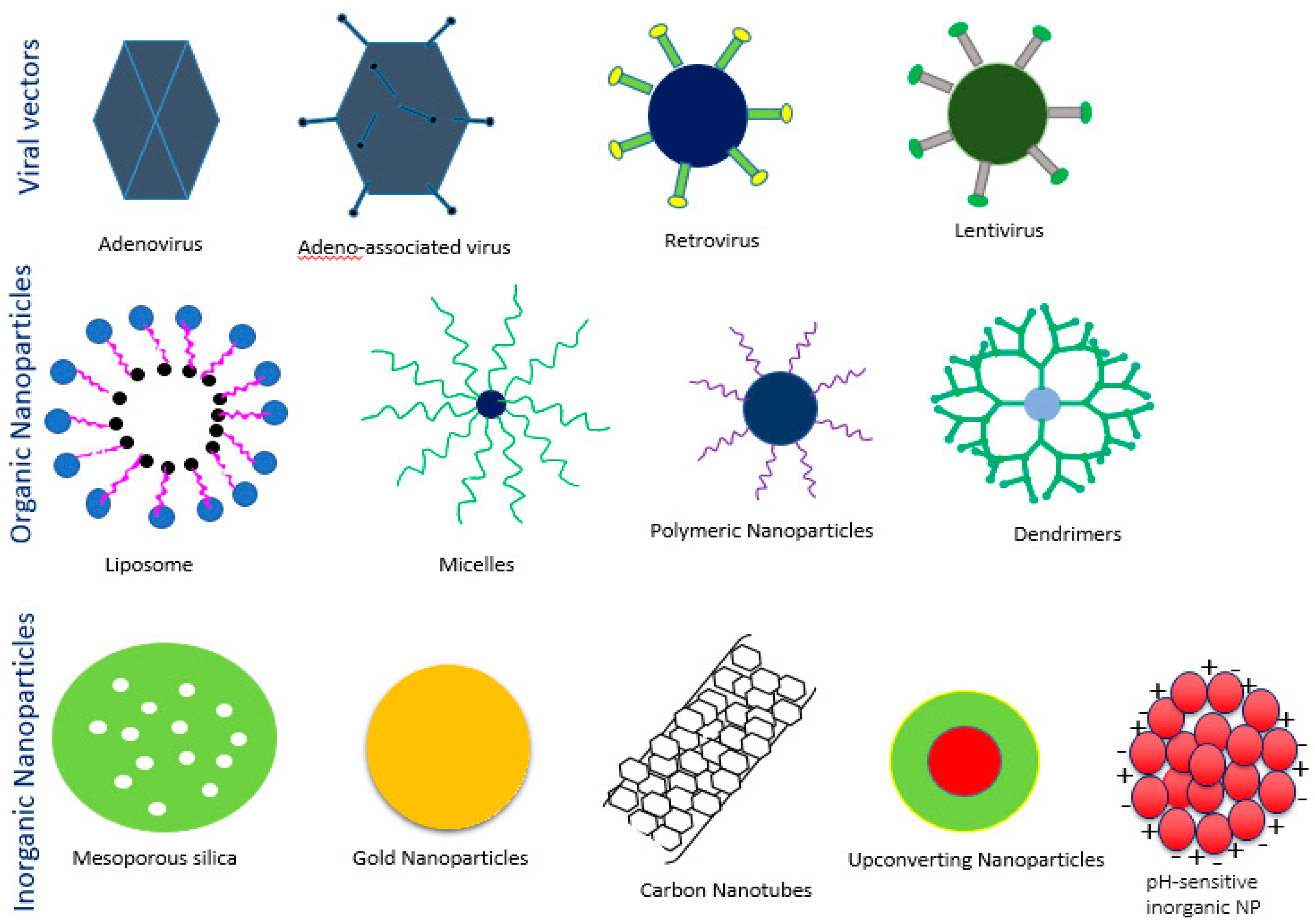 Pharmaceutics 10 00065 g004