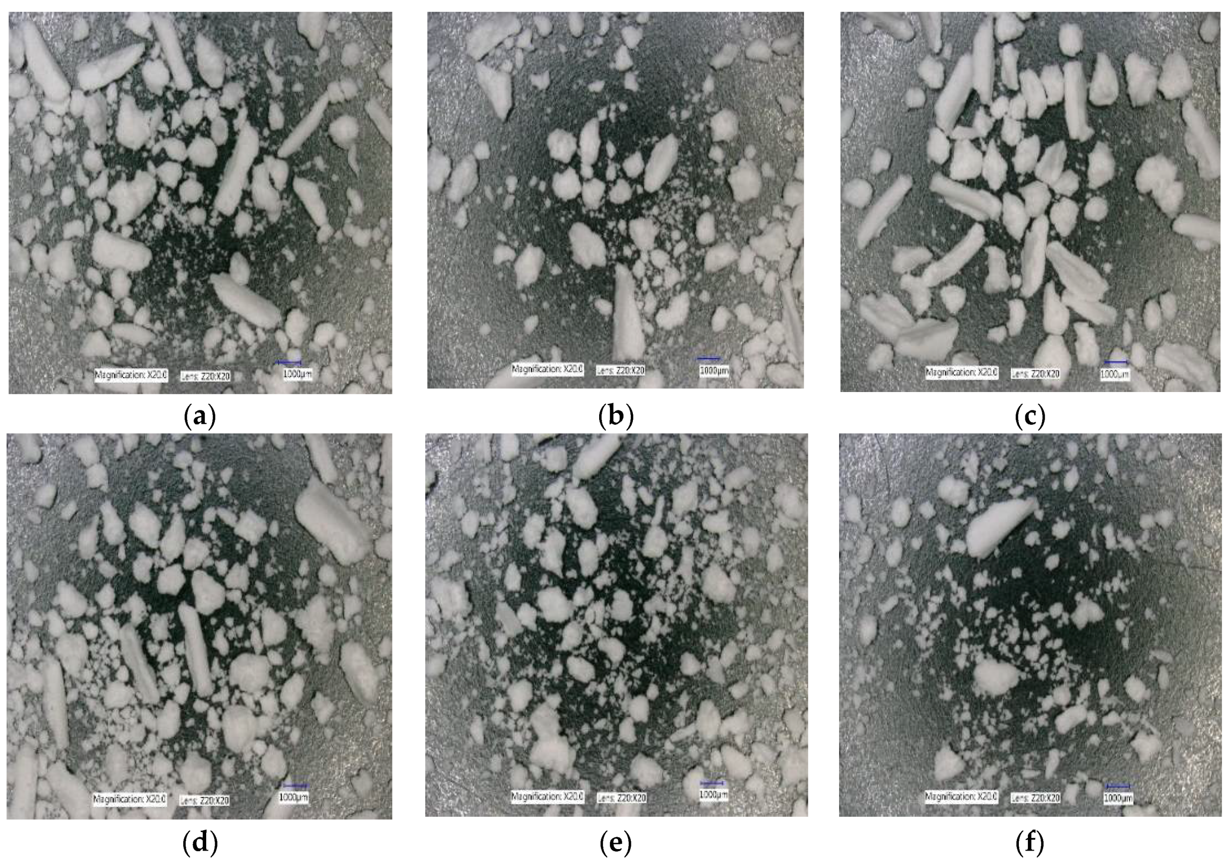 Pharmaceutics 10 00067 g020