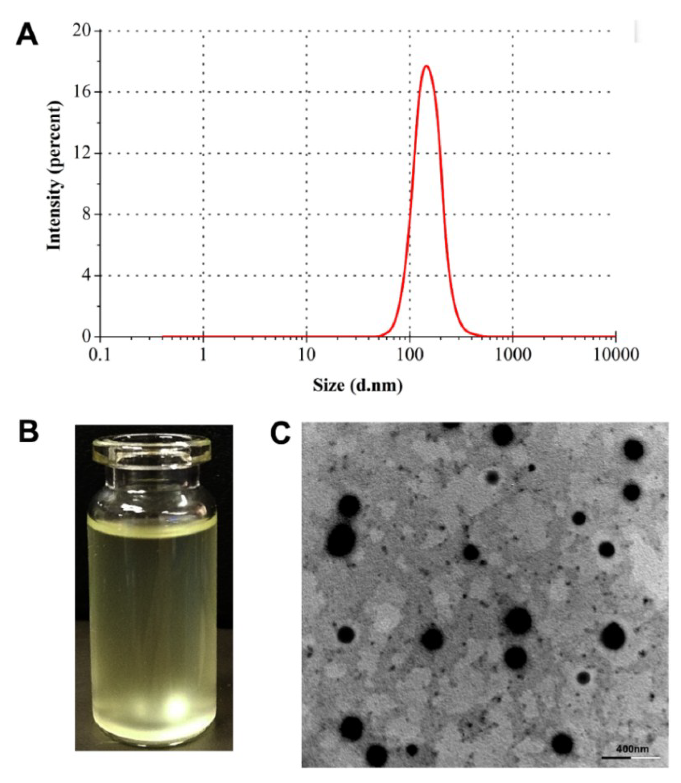 Pharmaceutics 10 00076 g003