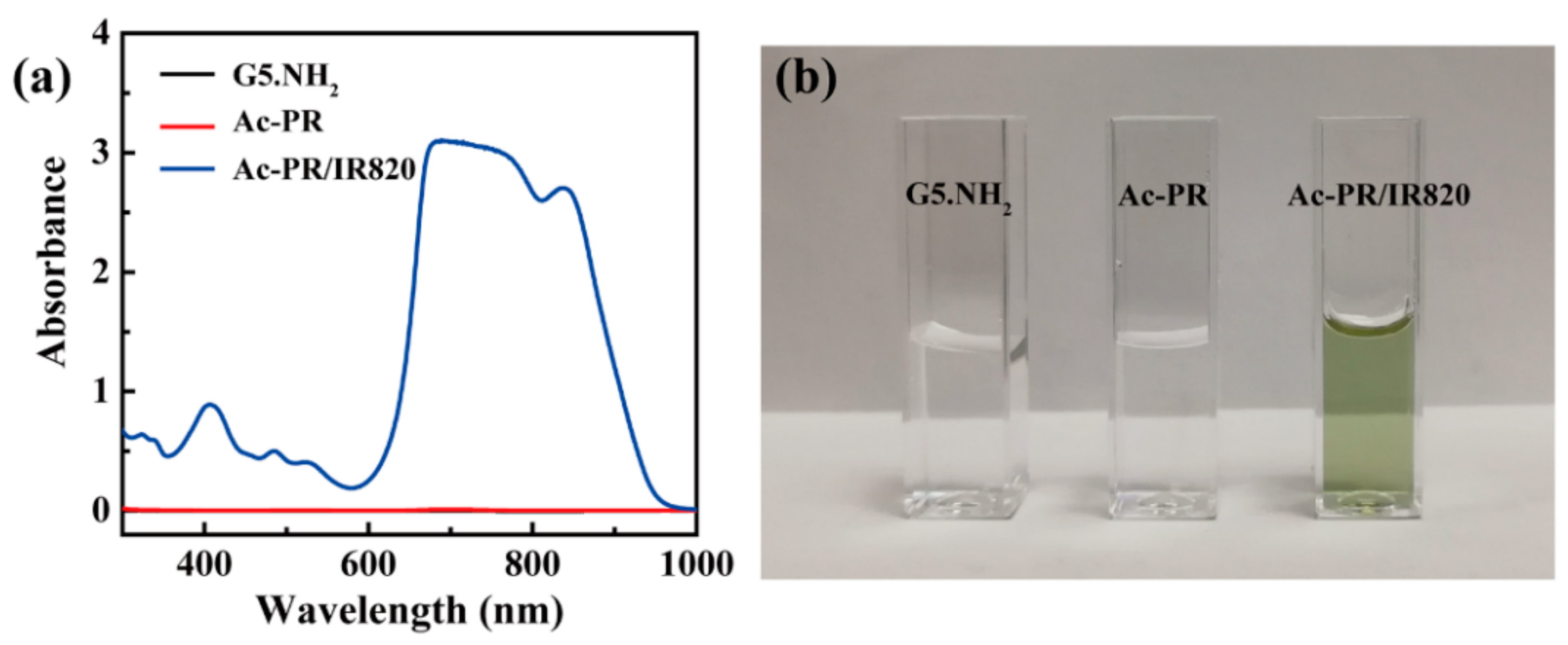 Pharmaceutics 10 00077 g003