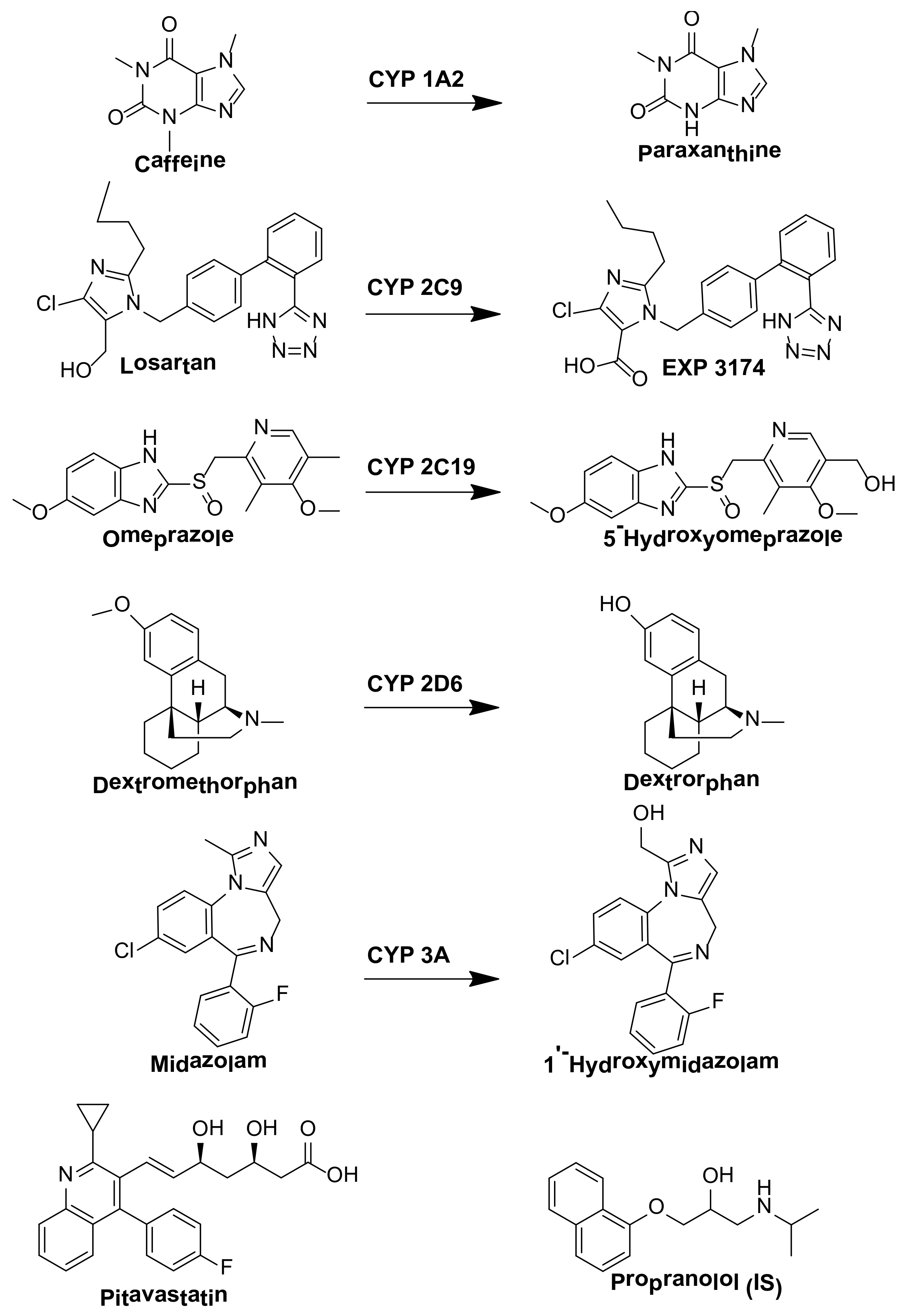 Pharmaceutics 10 00079 g001