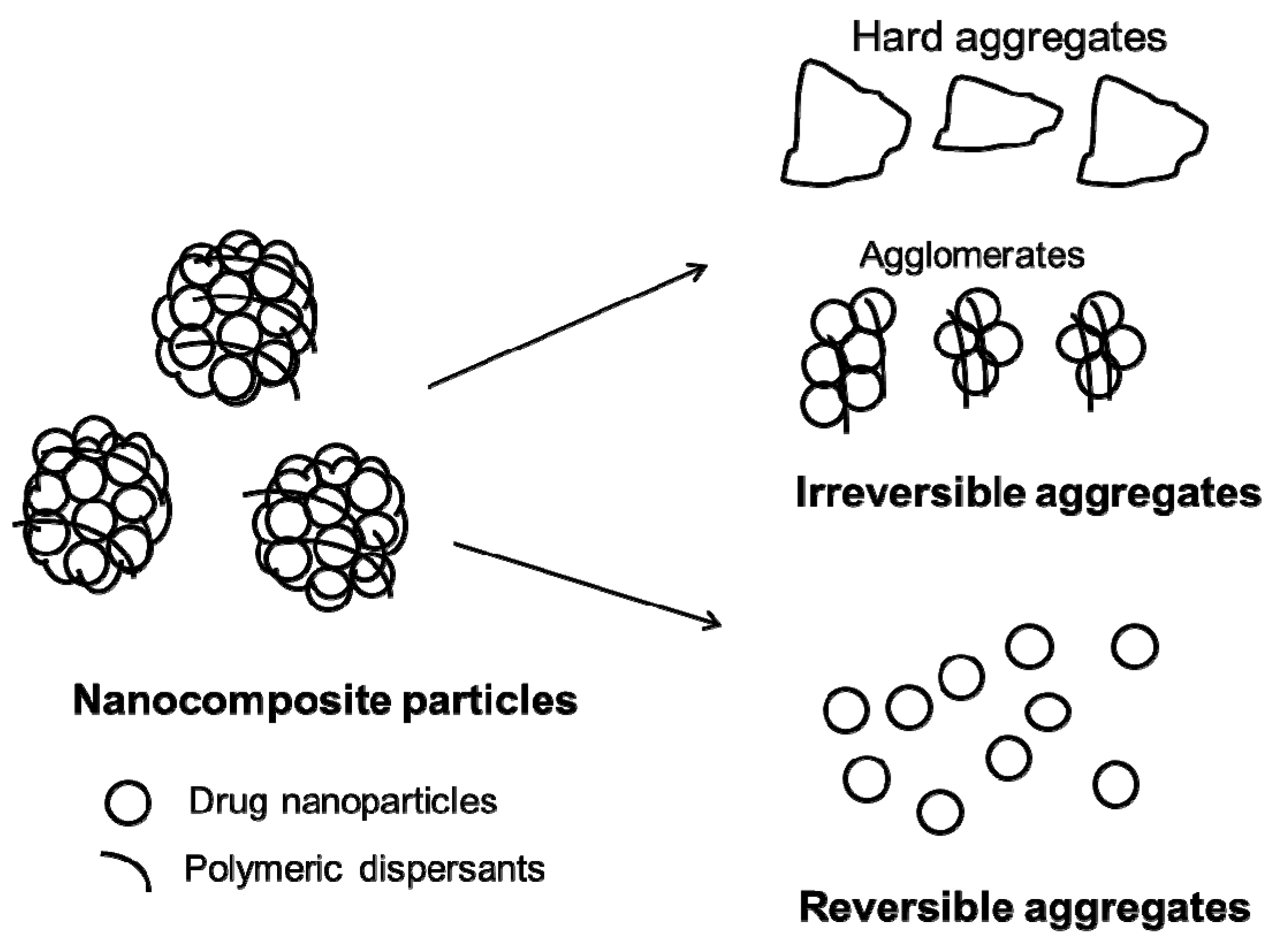Pharmaceutics 10 00086 g002
