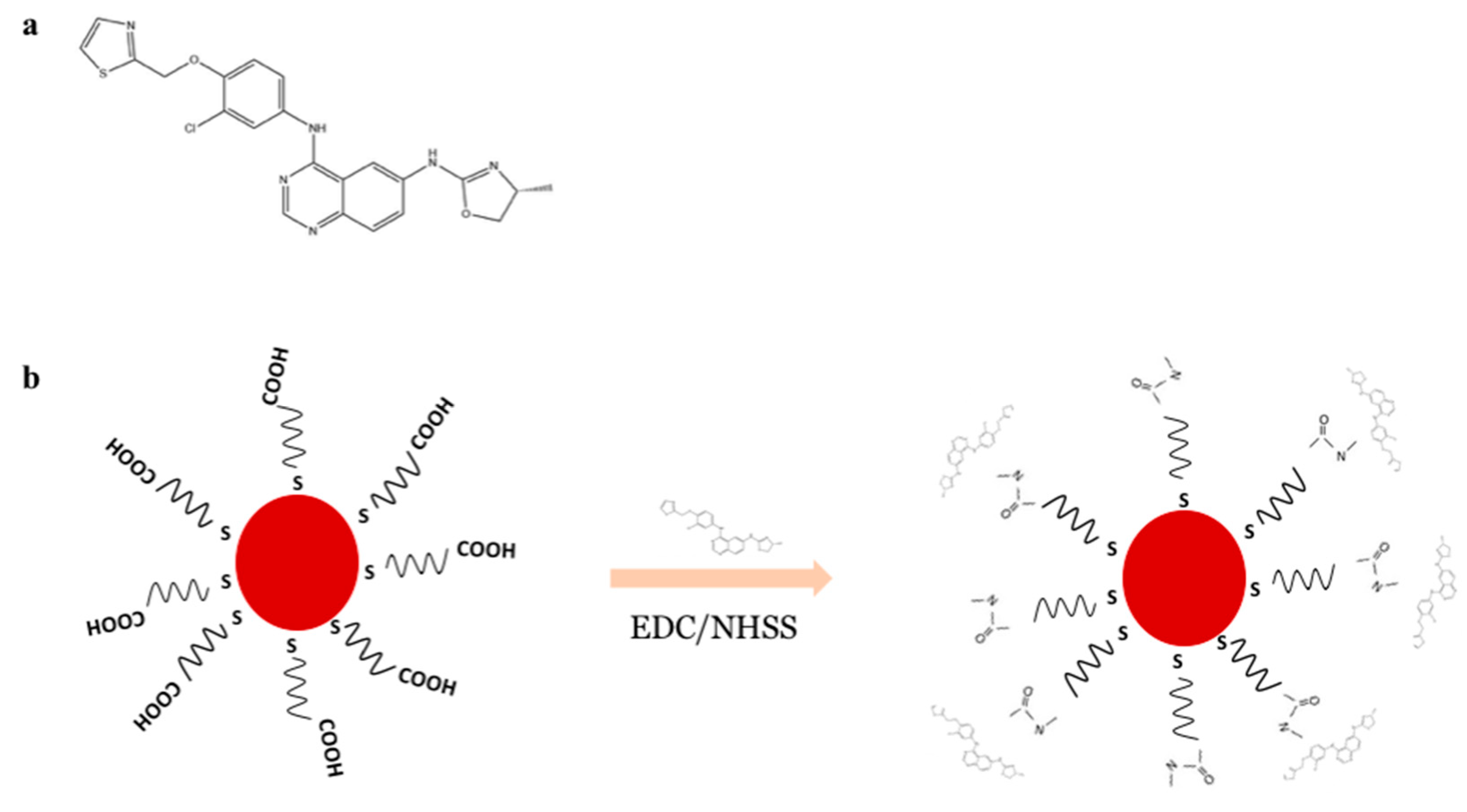 Pharmaceutics 10 00091 g002 Pharmaceutics 10 00091 g002