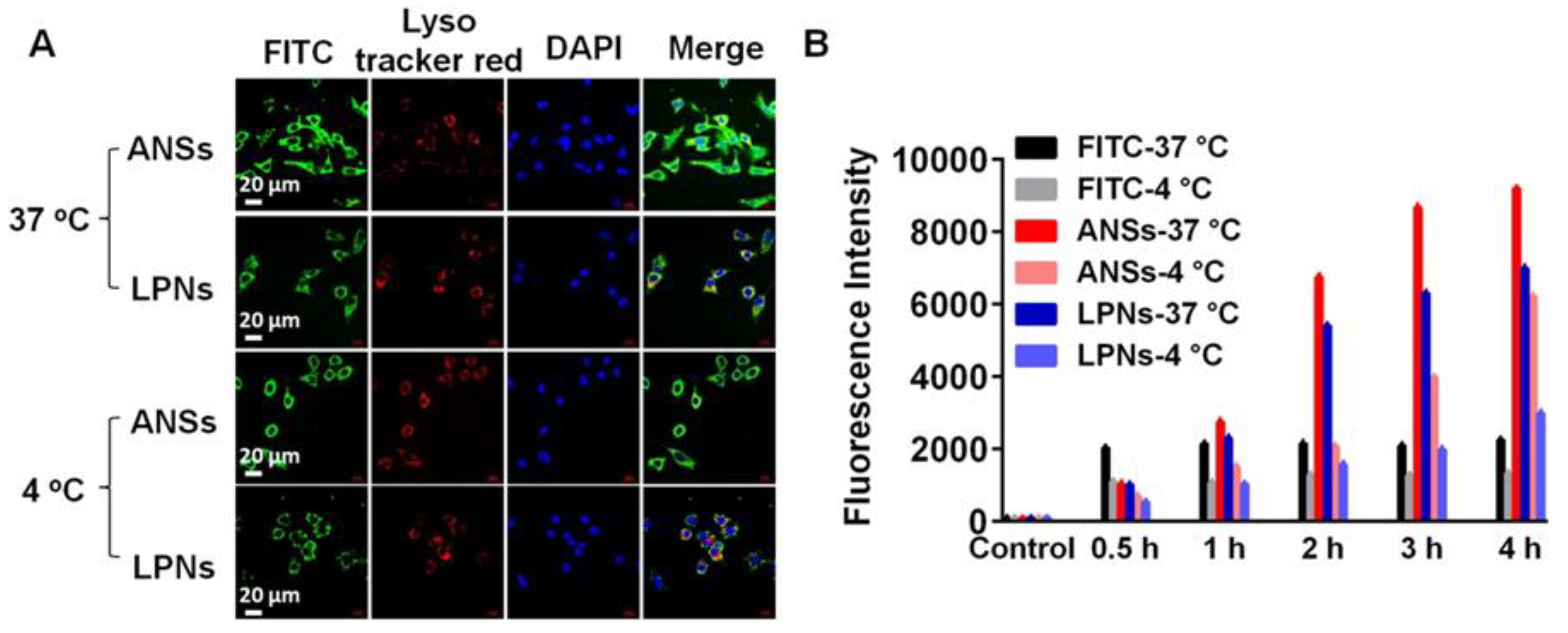 Pharmaceutics 10 00092 g005 Pharmaceutics 10 00092 g005
