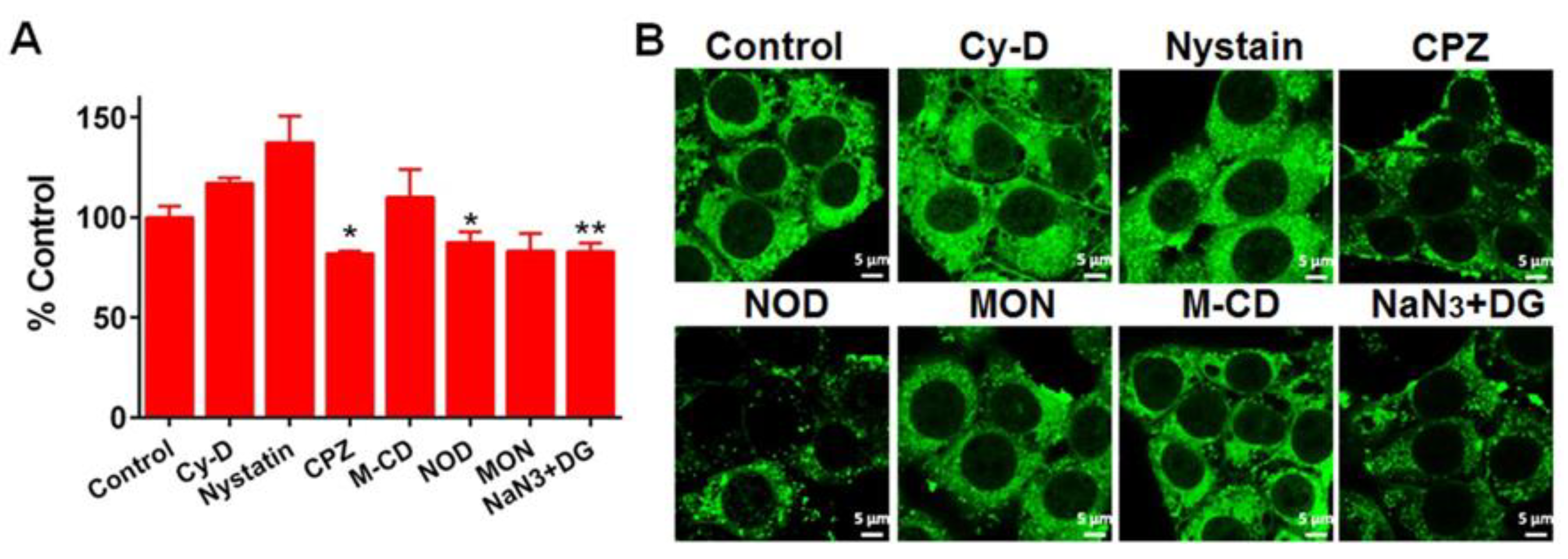 Pharmaceutics 10 00092 g006 Pharmaceutics 10 00092 g006