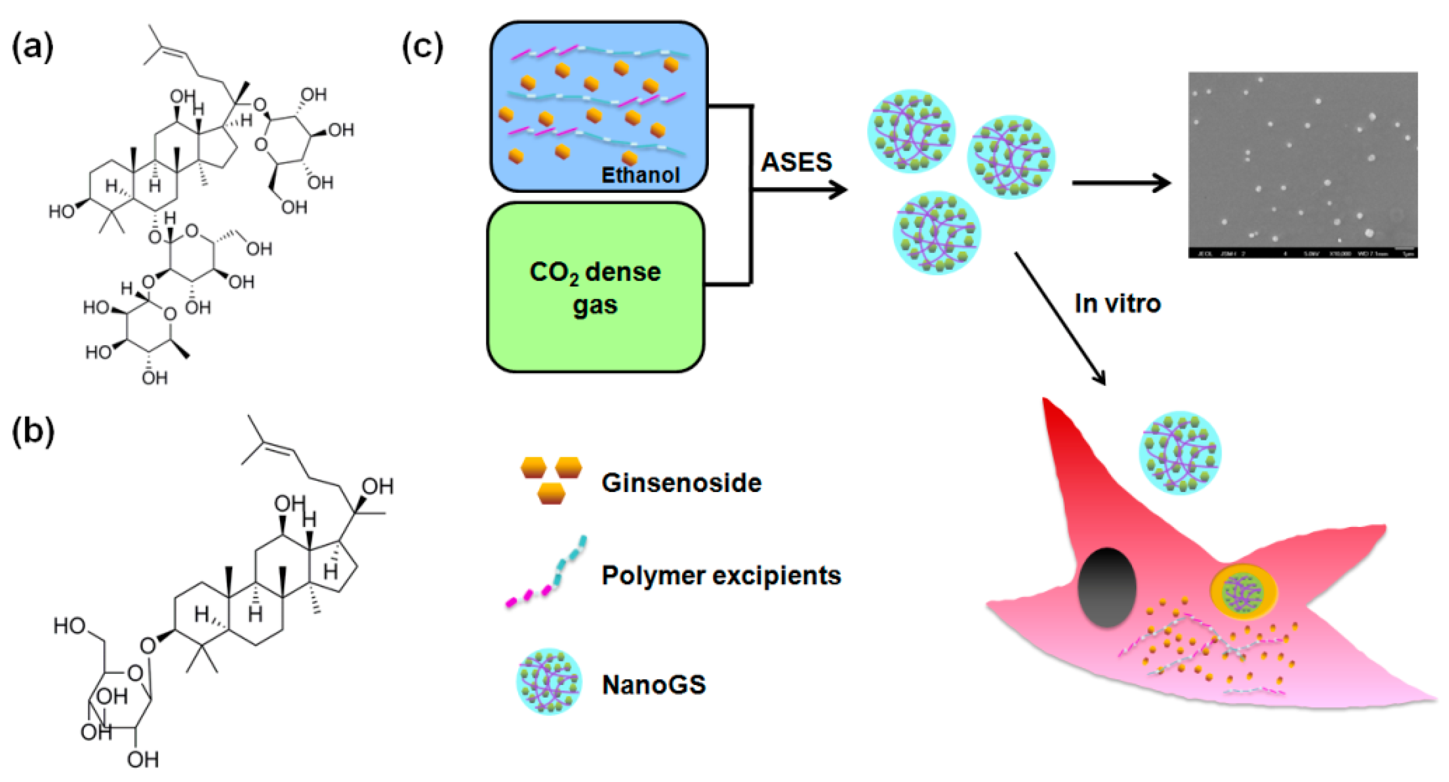 Pharmaceutics 10 00095 g001 Pharmaceutics 10 00095 g001