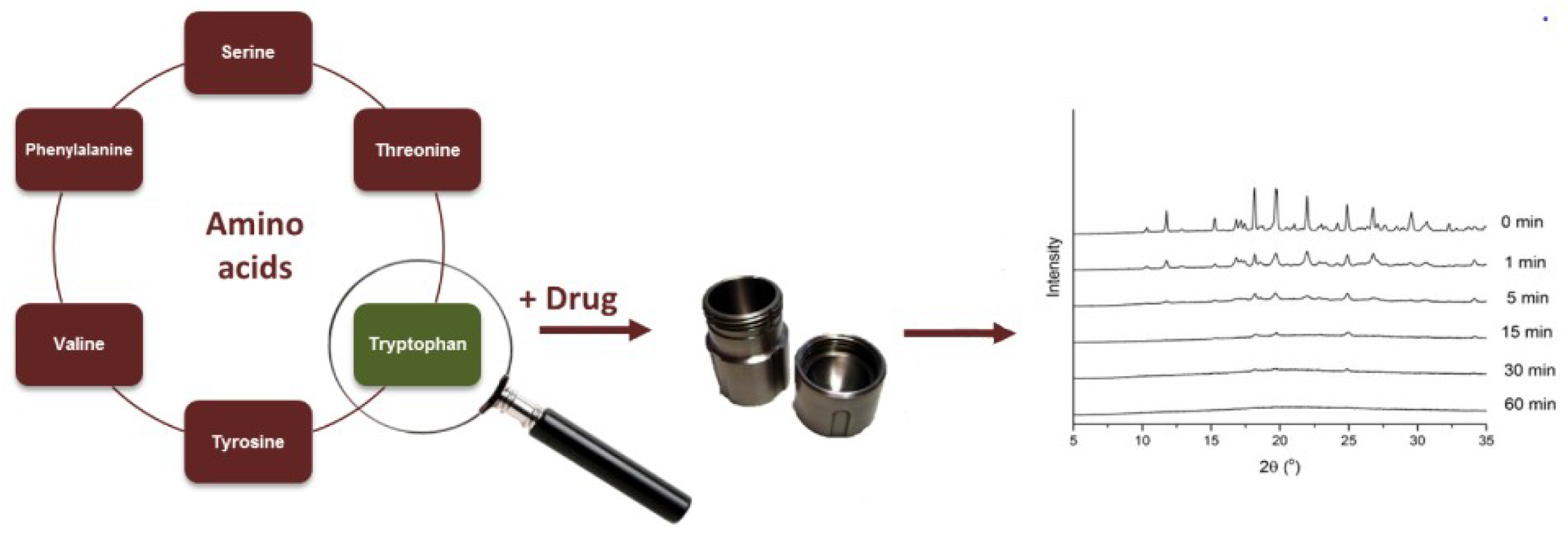 Pharmaceutics 10 00098 g007