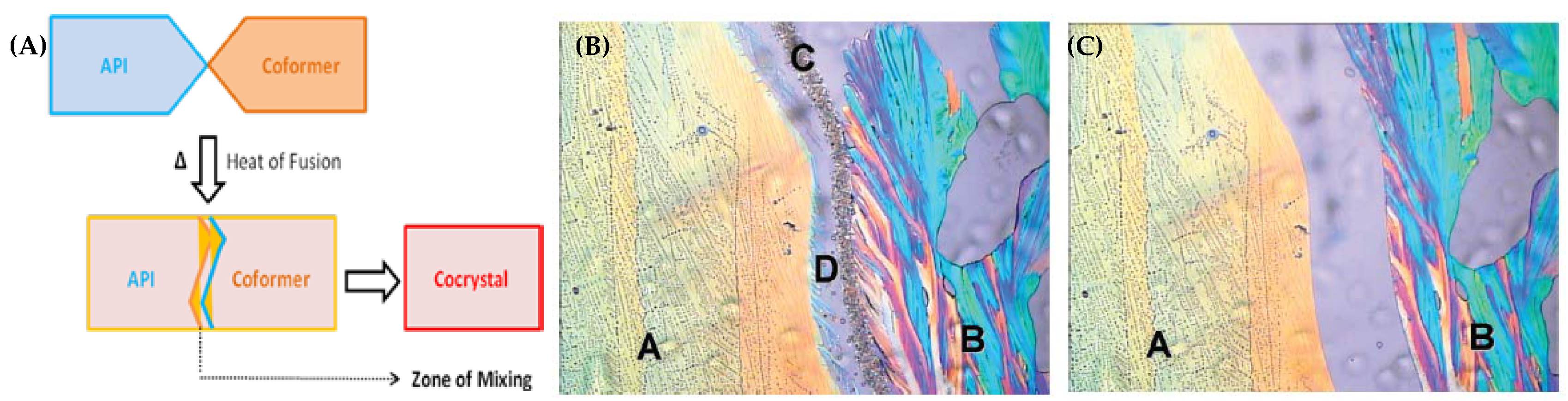 Pharmaceutics 10 00108 g013