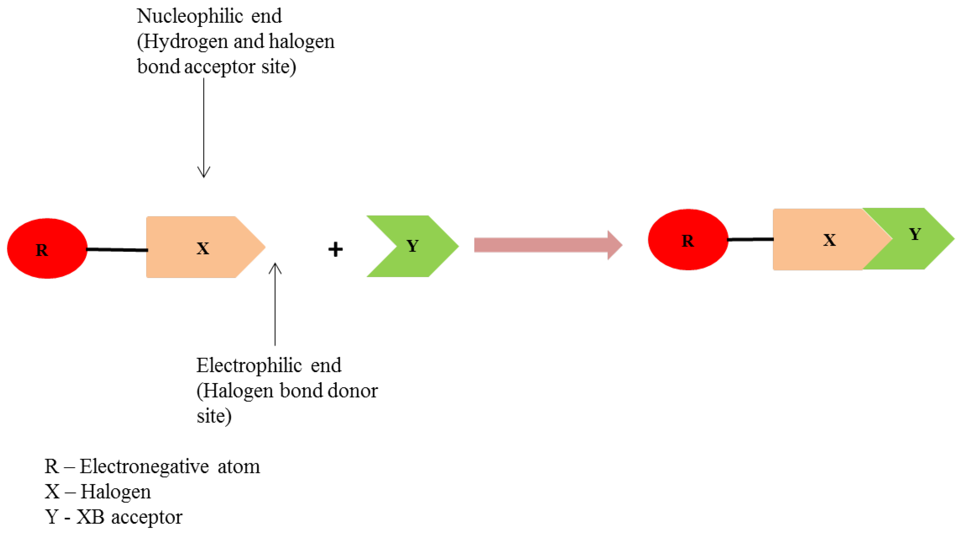 Pharmaceutics 10 00108 g015