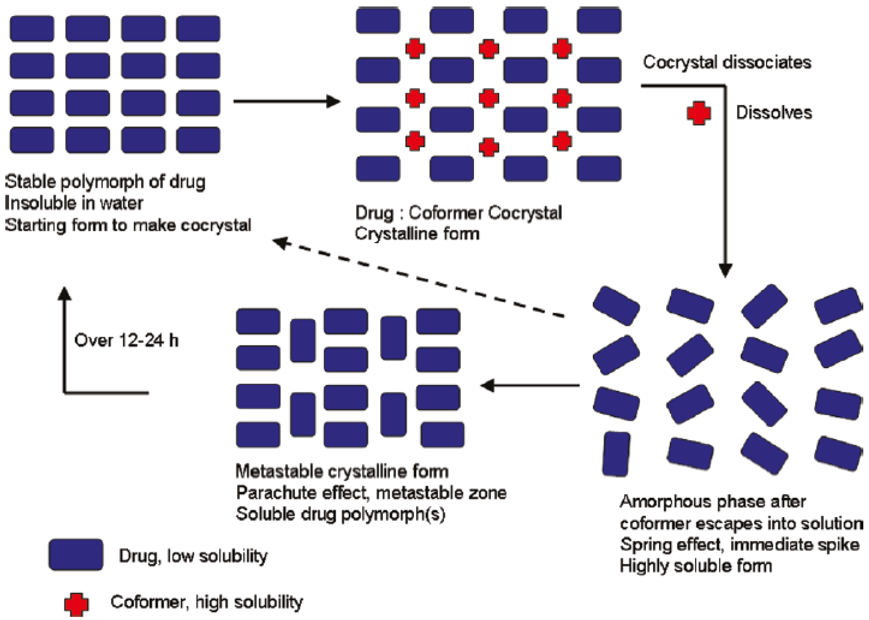 Pharmaceutics 10 00108 g038