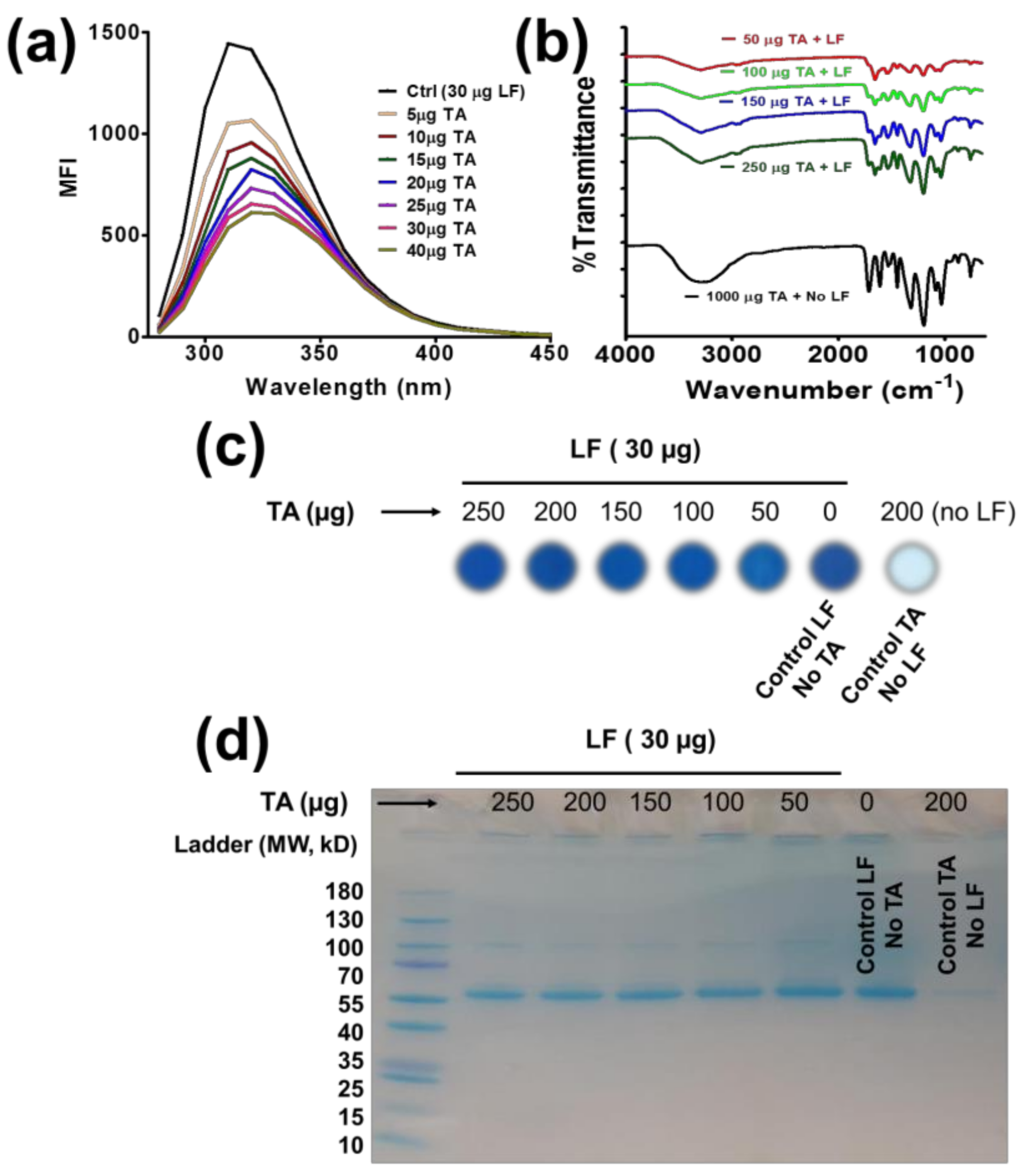 Pharmaceutics 10 00111 g001 Pharmaceutics 10 00111 g001