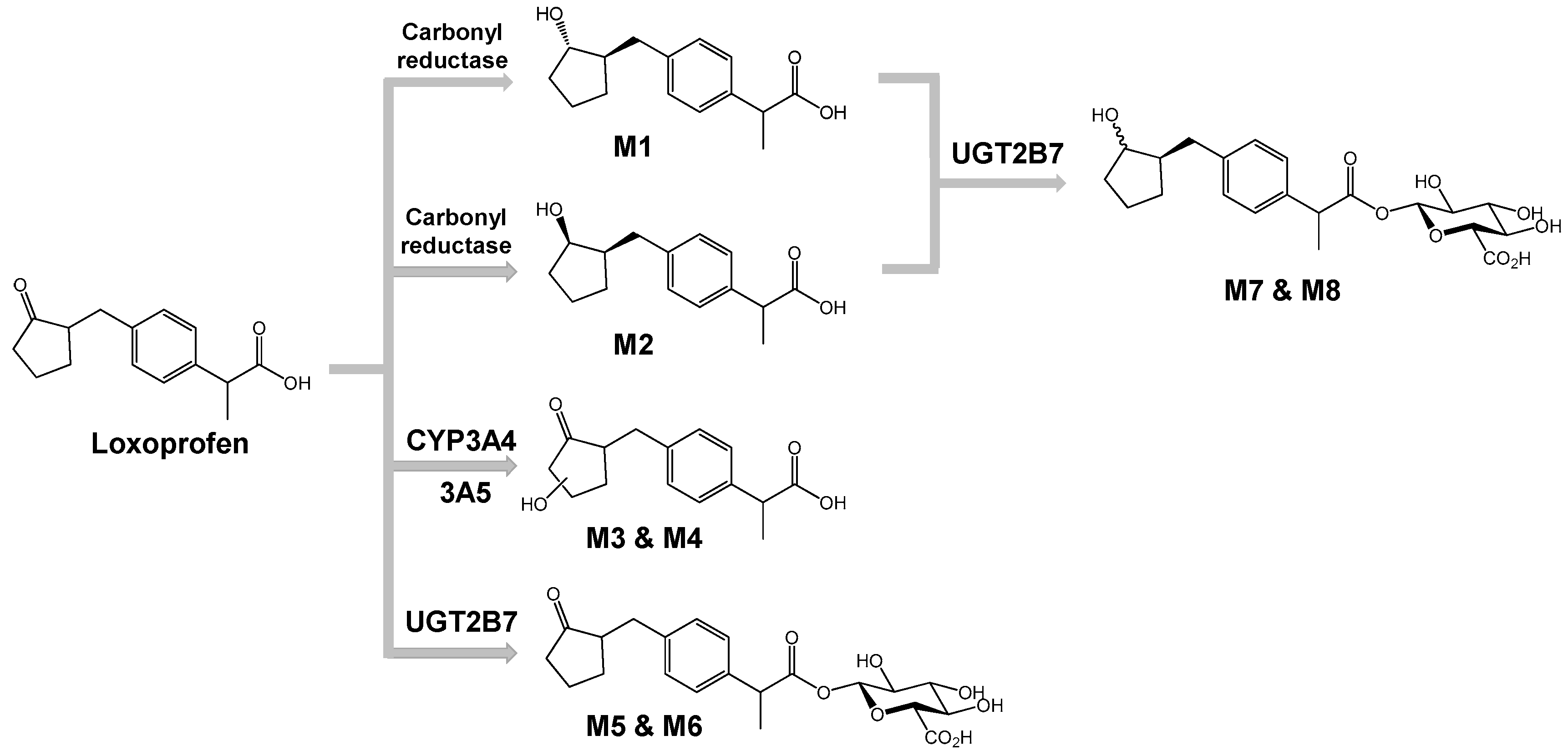 Pharmaceutics 10 00112 g006 Pharmaceutics 10 00112 g006