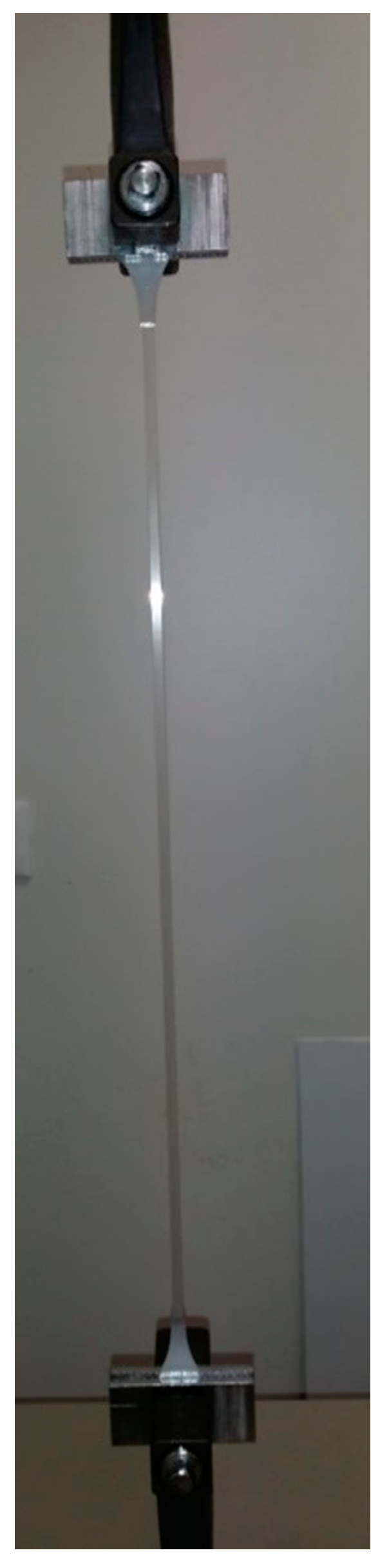 Pharmaceutics 10 00113 g007