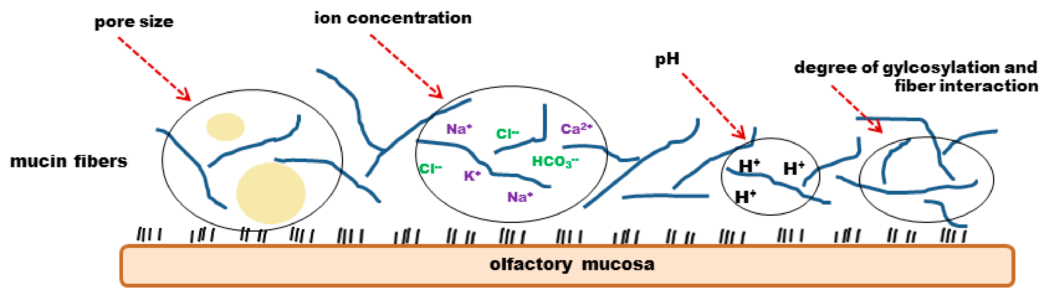 Pharmaceutics 10 00116 g006