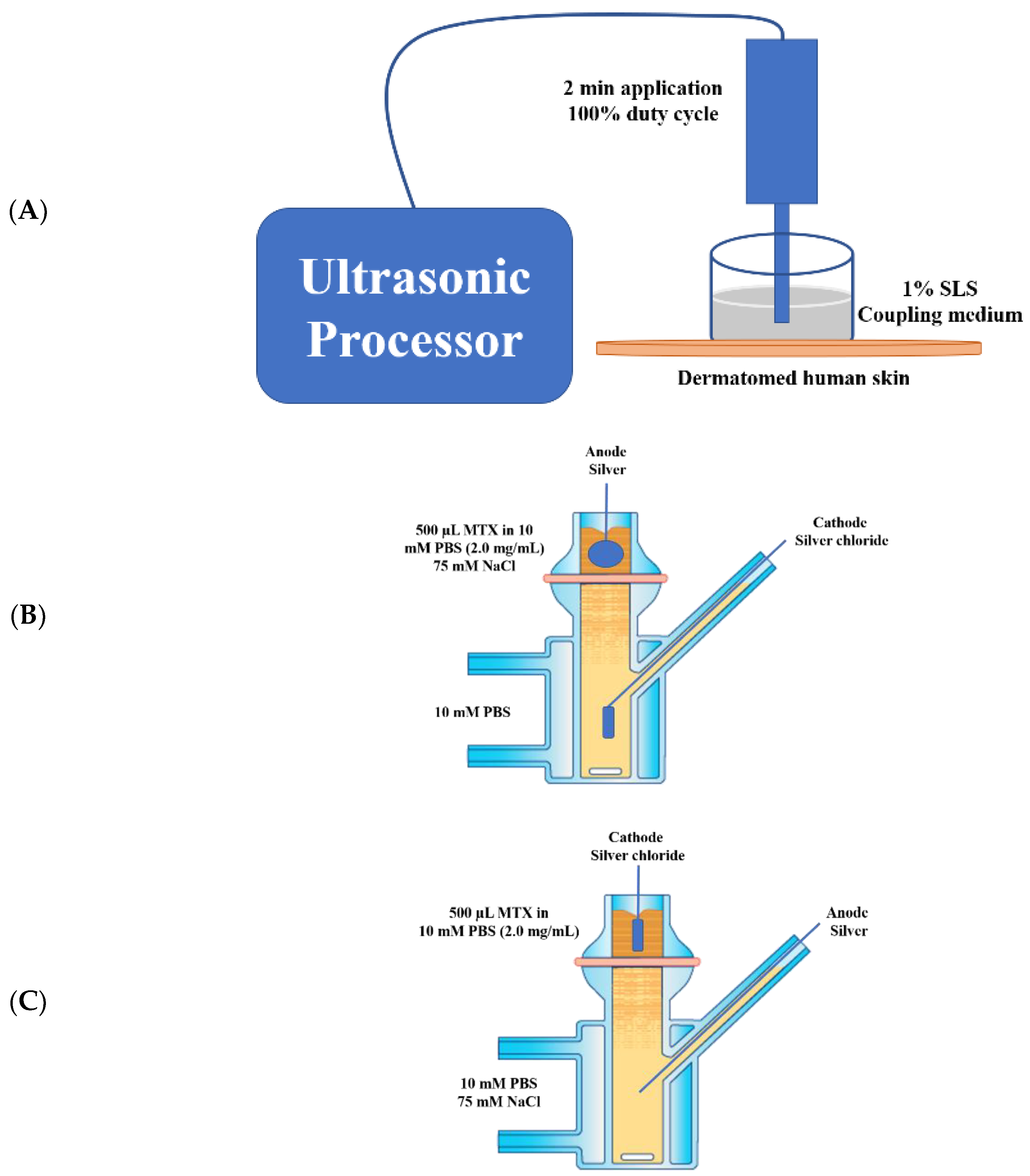 Pharmaceutics 10 00117 g001