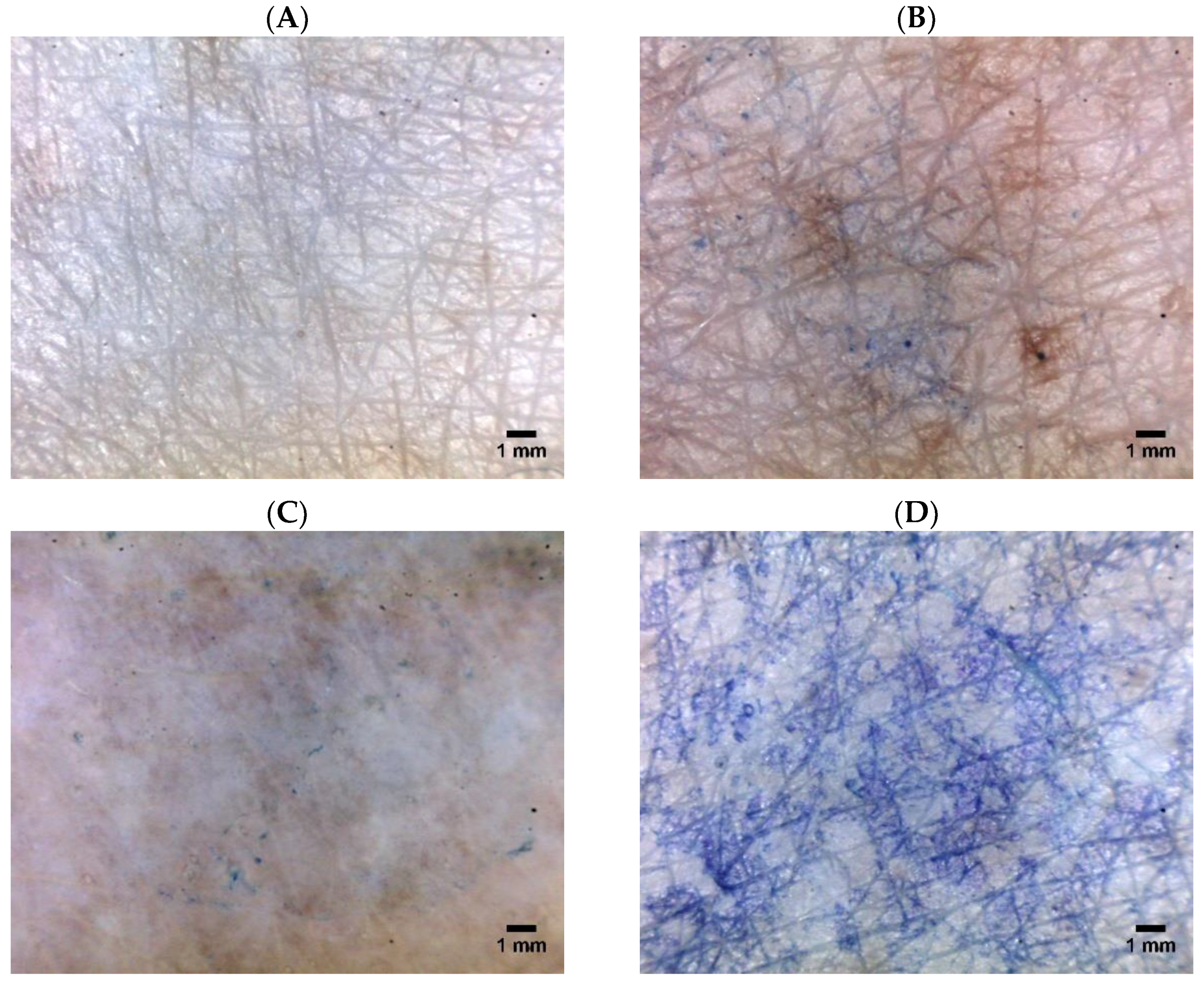 Pharmaceutics 10 00117 g002