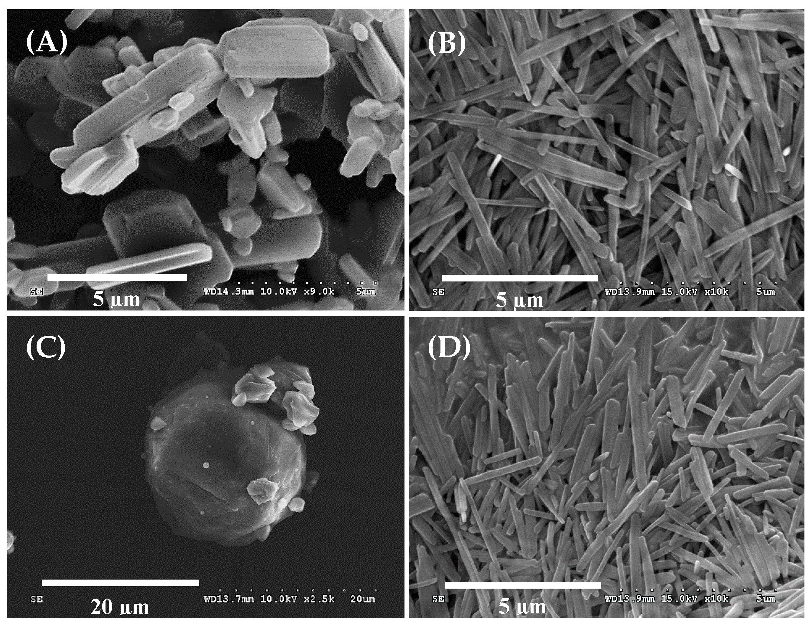 Pharmaceutics 10 00140 g001