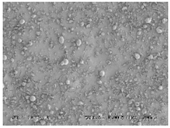 Pharmaceutics 10 00142 i002