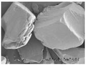 Pharmaceutics 10 00142 i003