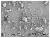 Pharmaceutics 10 00142 i004