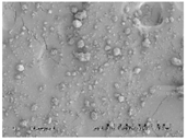 Pharmaceutics 10 00142 i005