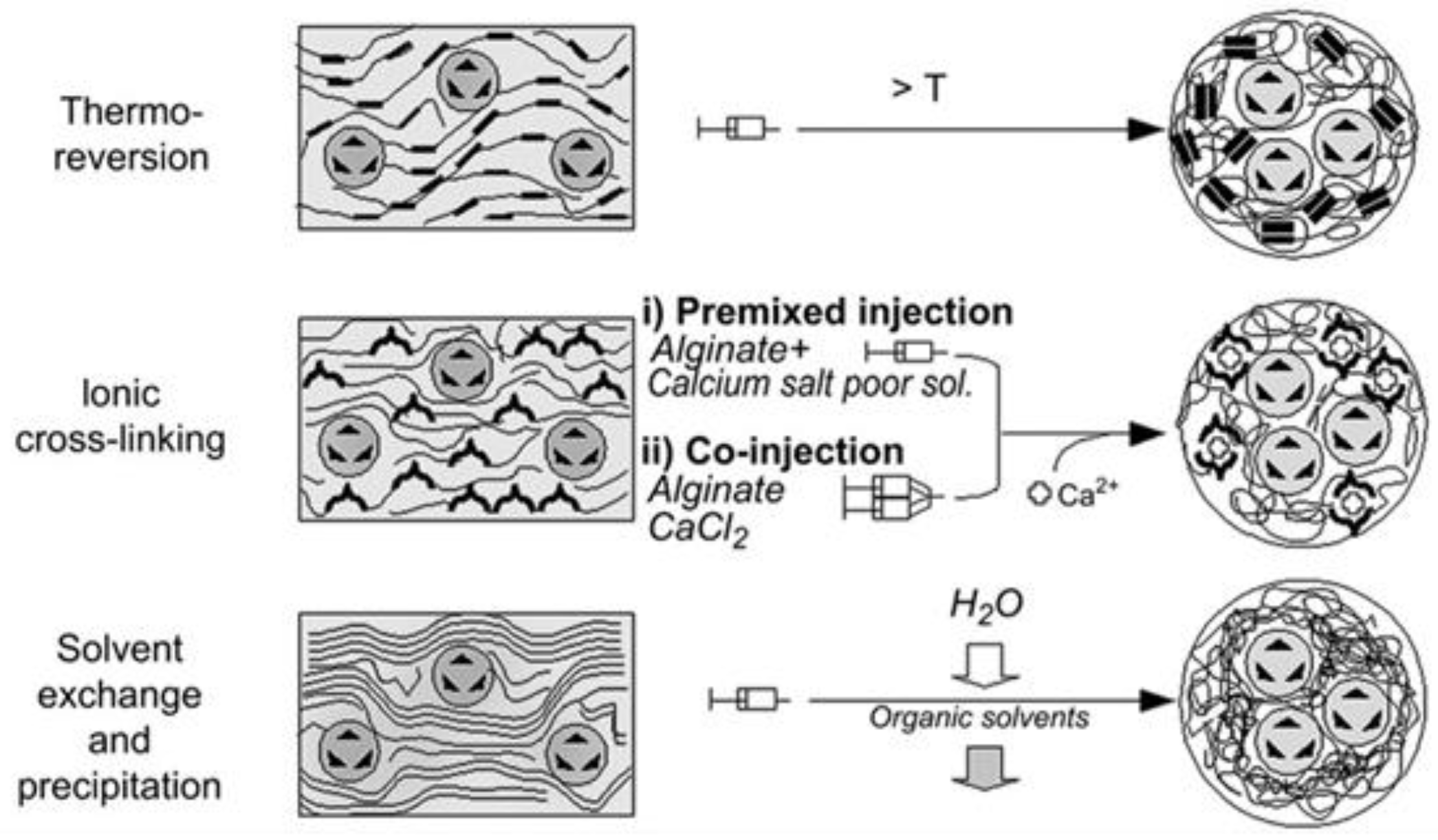 Pharmaceutics 10 00145 g004 Pharmaceutics 10 00145 g004