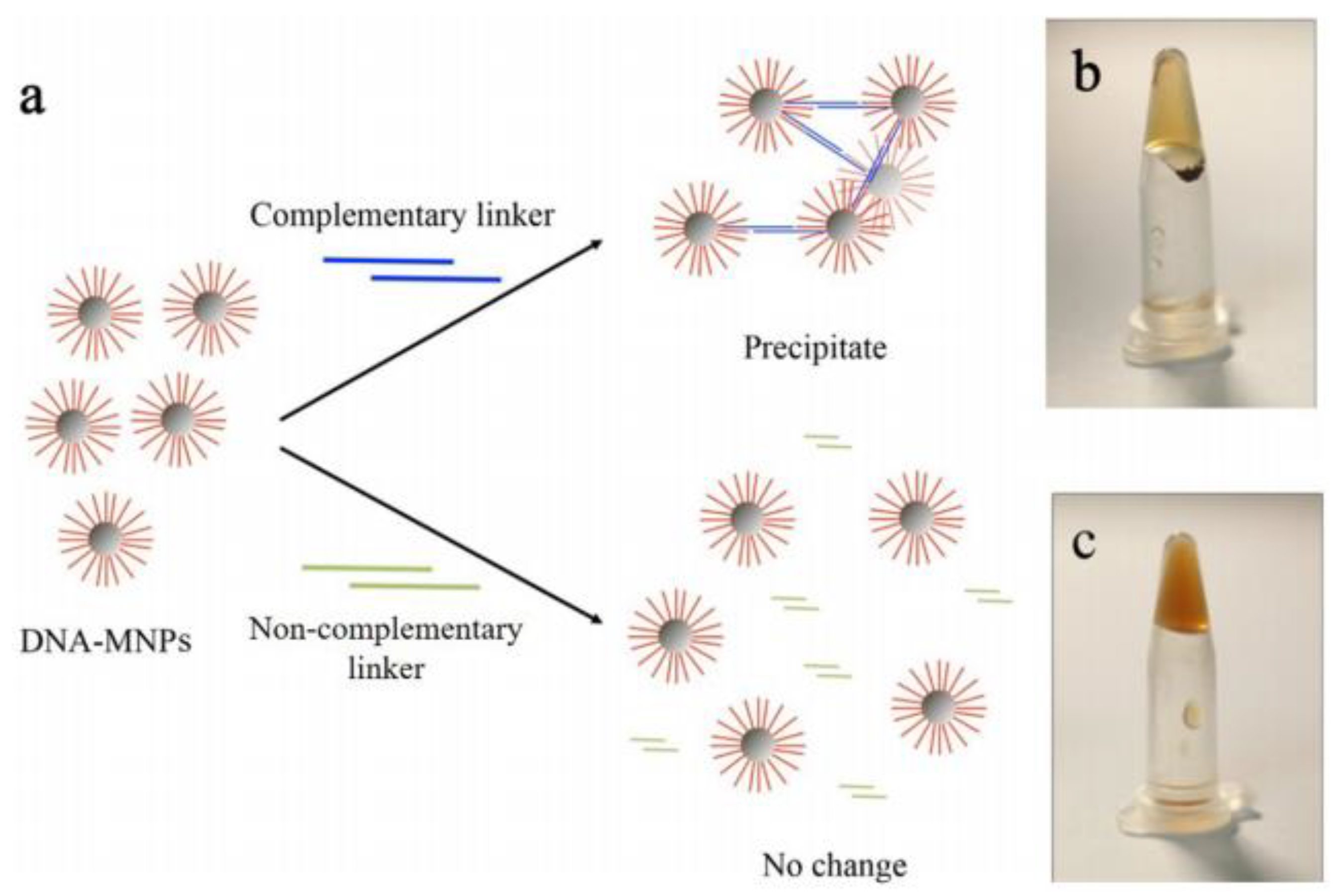 Pharmaceutics 10 00145 g007 Pharmaceutics 10 00145 g007