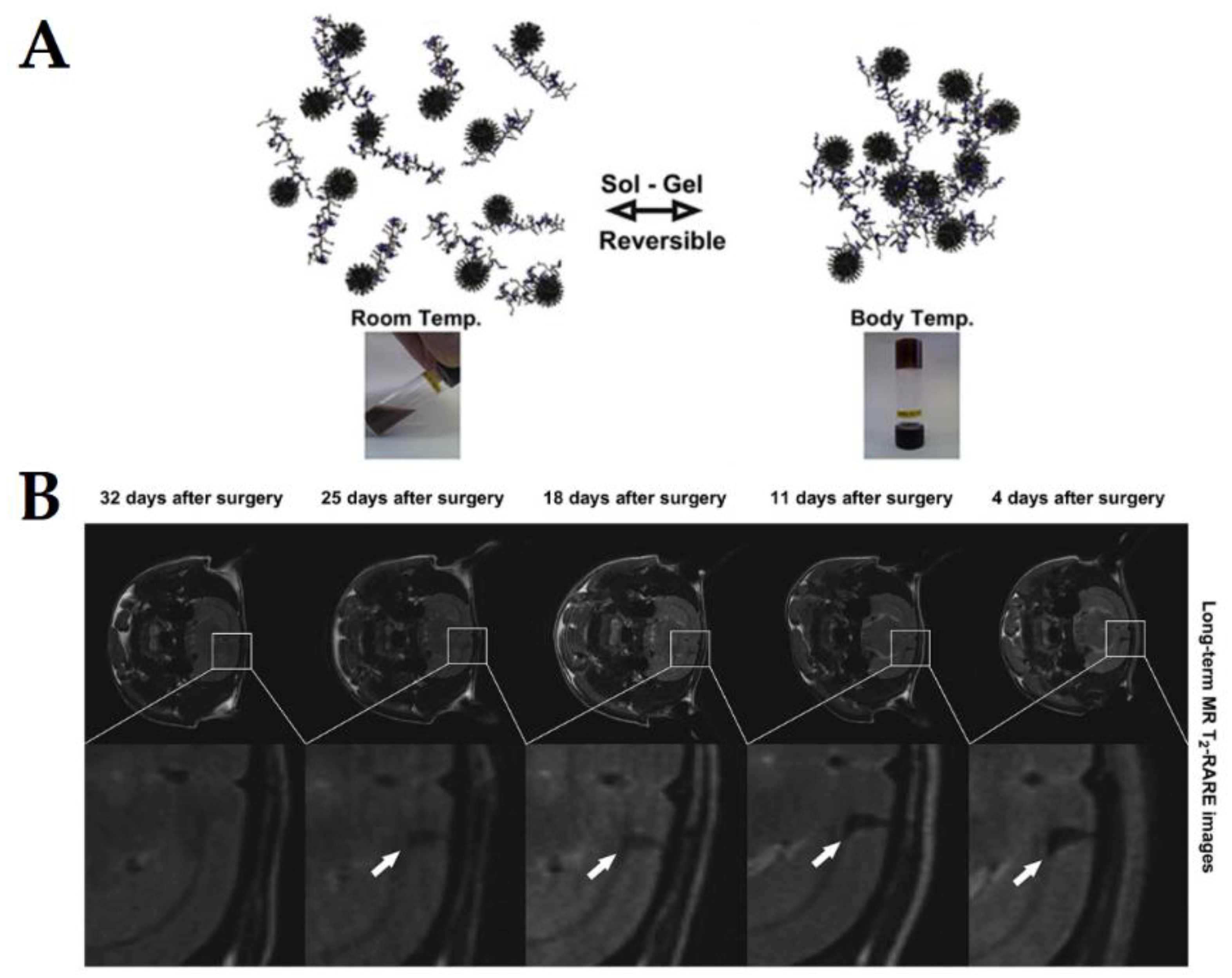 Pharmaceutics 10 00145 g008 Pharmaceutics 10 00145 g008