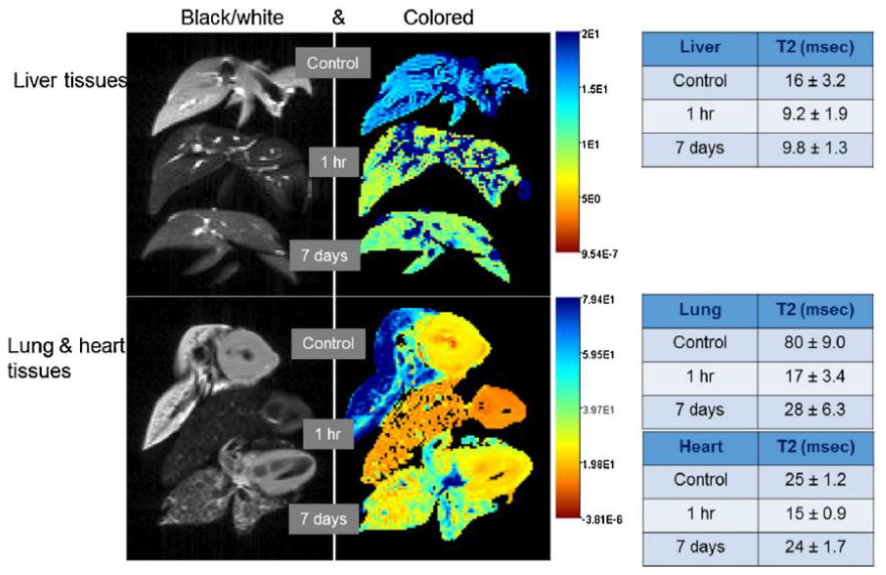 Pharmaceutics 10 00145 g009 Pharmaceutics 10 00145 g009