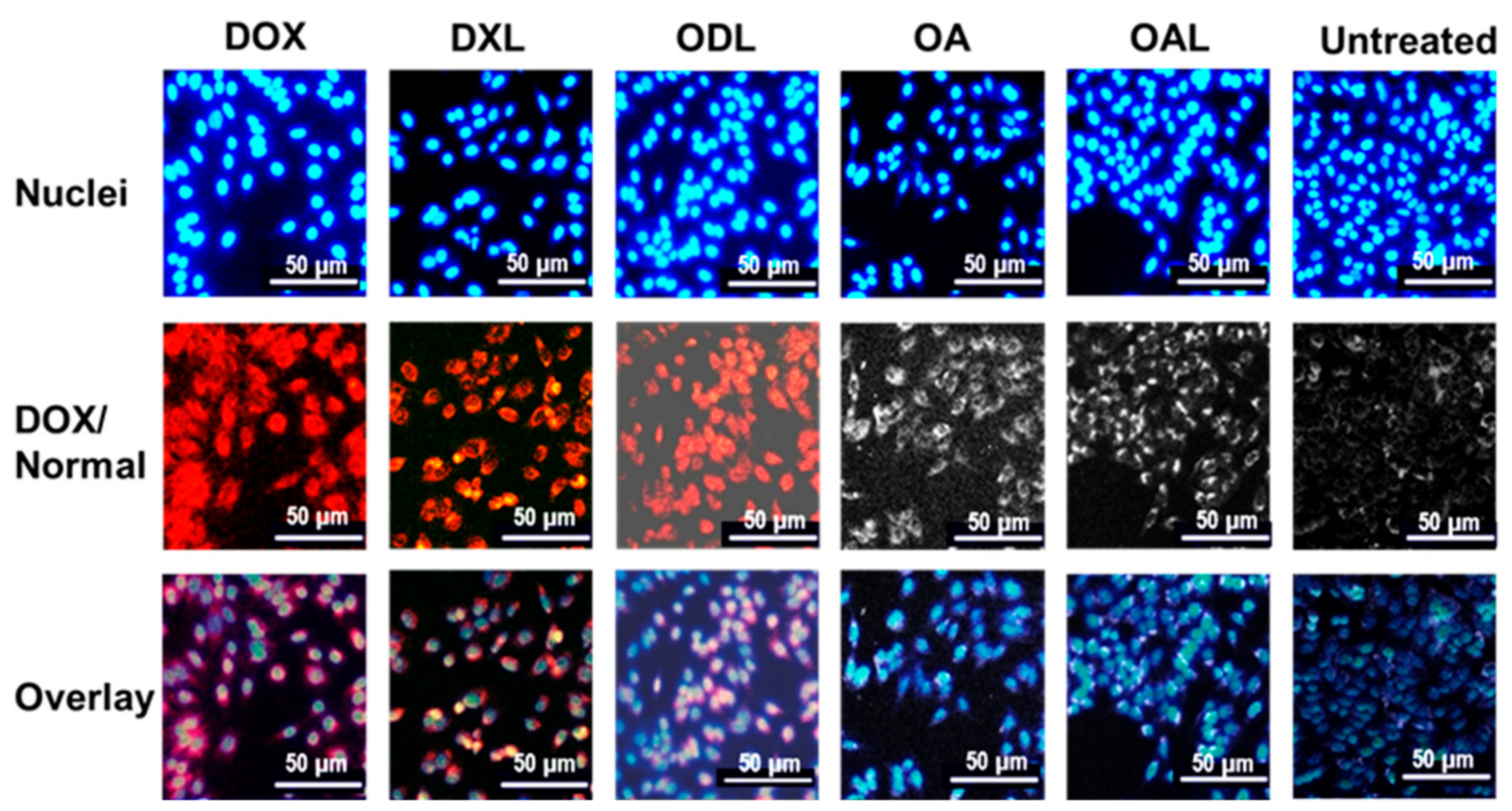 Pharmaceutics 10 00151 g007