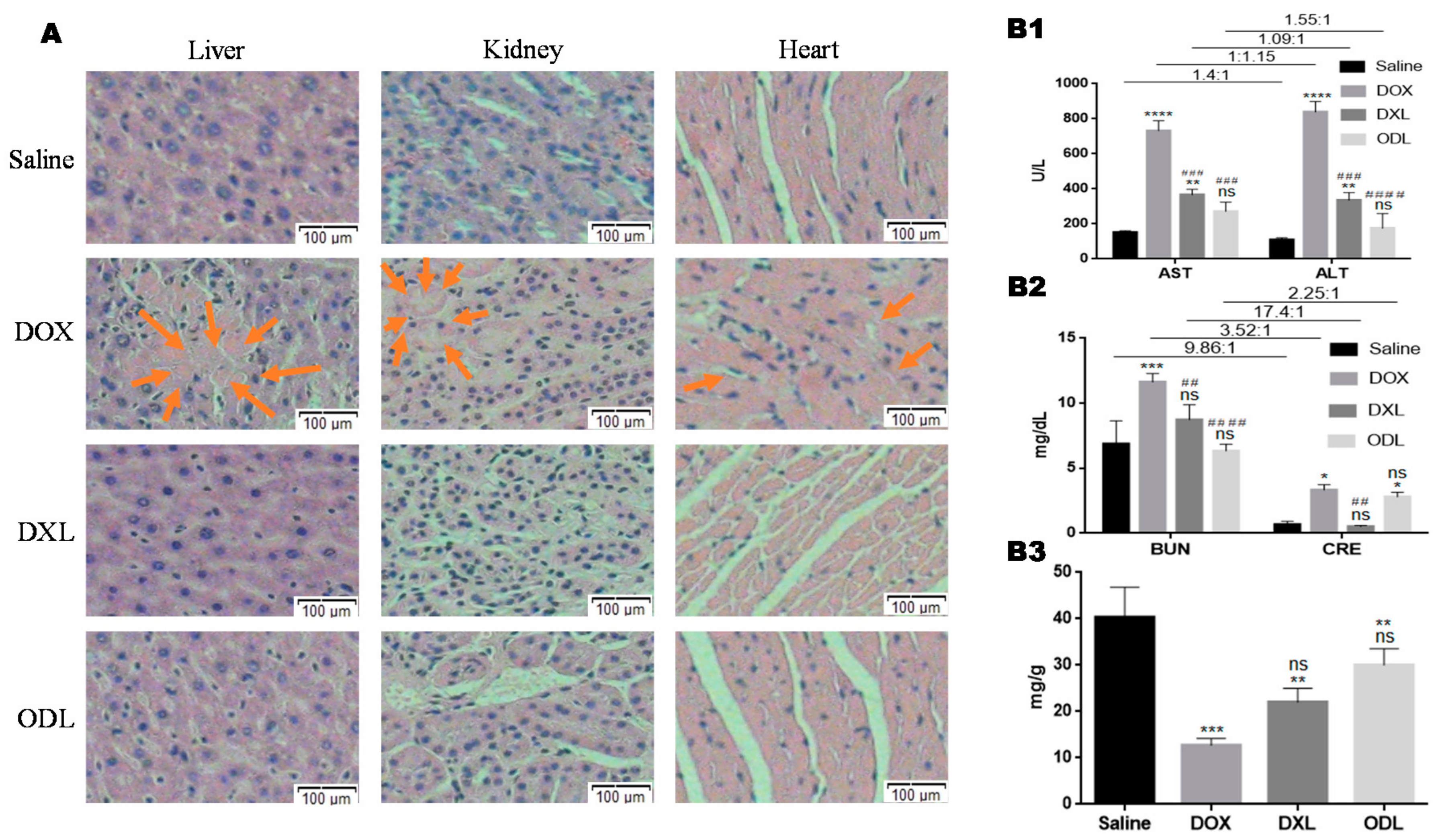 Pharmaceutics 10 00151 g009
