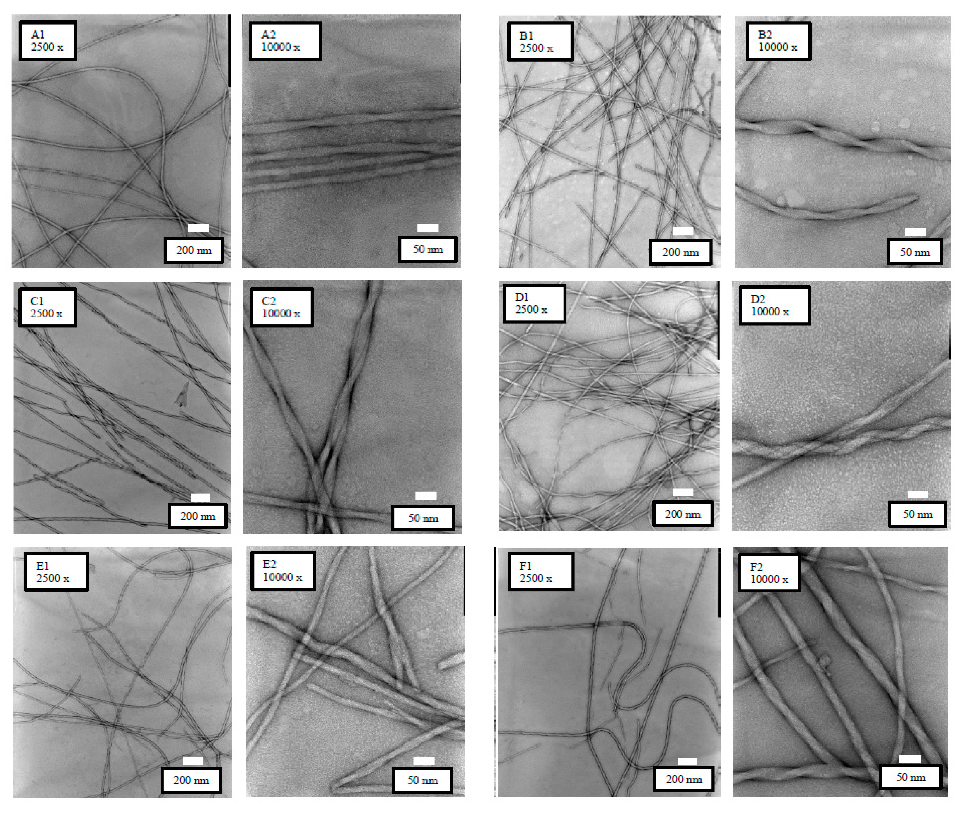 Pharmaceutics 10 00163 g007