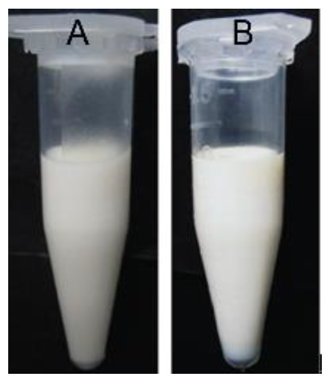 Pharmaceutics 10 00170 g002