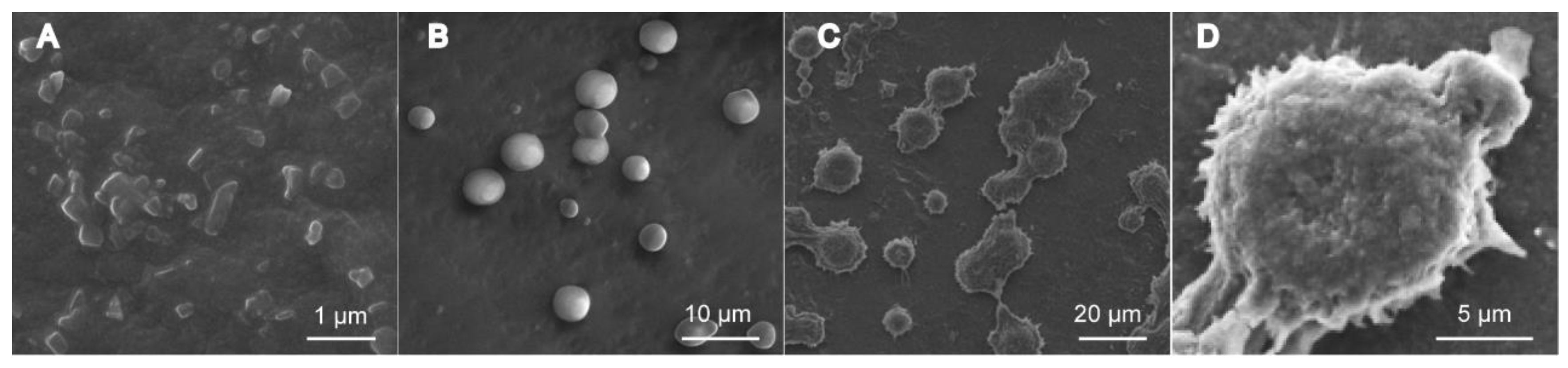 Pharmaceutics 10 00170 g006